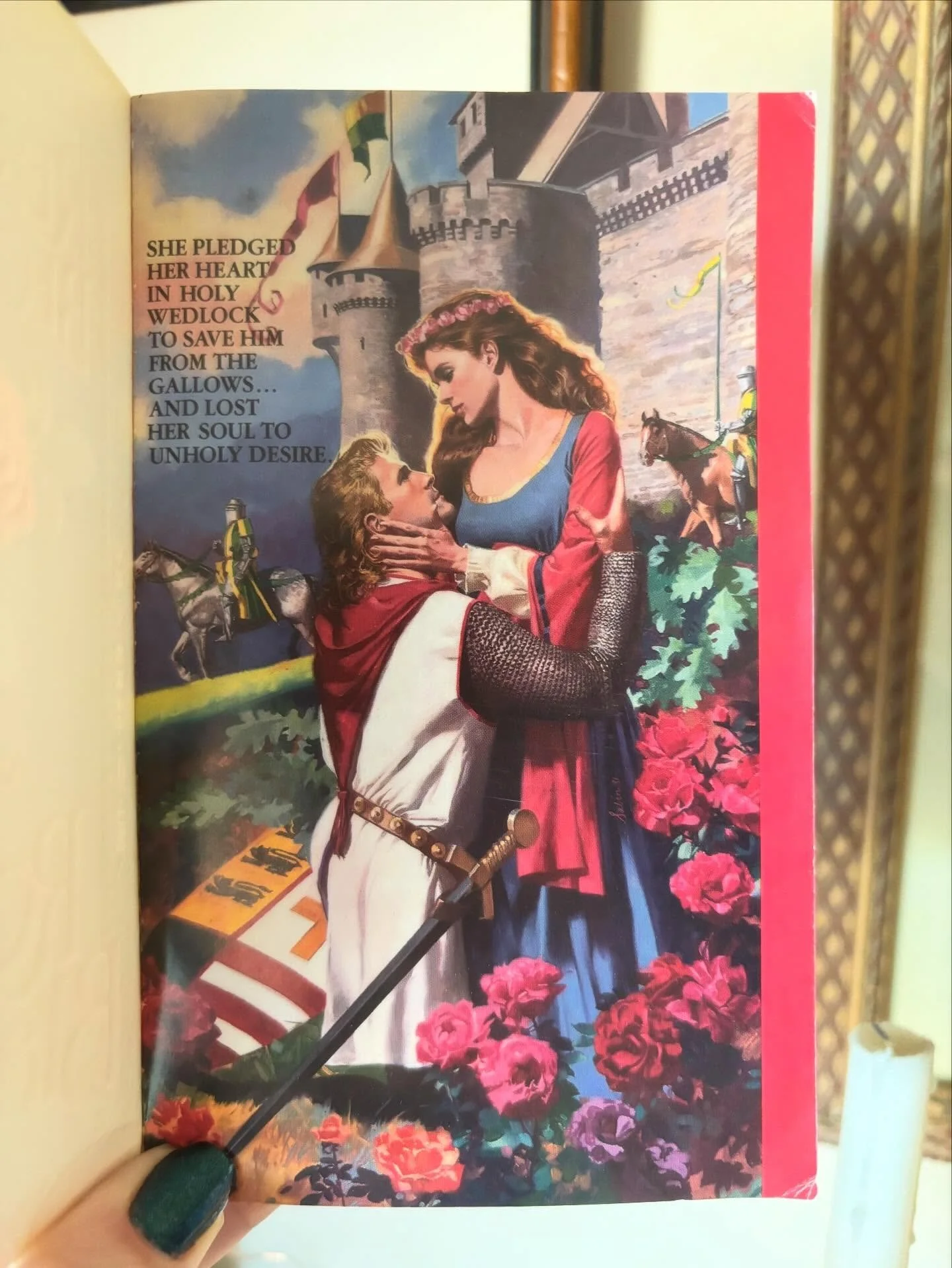 I don&rsquo;t often buy books for my own collection based just on the art, especially if I don&rsquo;t know the author&mdash;listen, I only have so much room! 😭&mdash;but I couldn&rsquo;t resist this one, where the stepback and the cover are equally