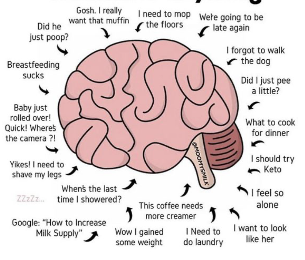 Mom Brain Is Real: The Science of Forgetting Everything but the Baby