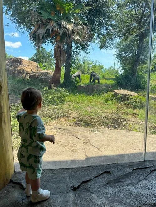 Houston Zoo 3.png