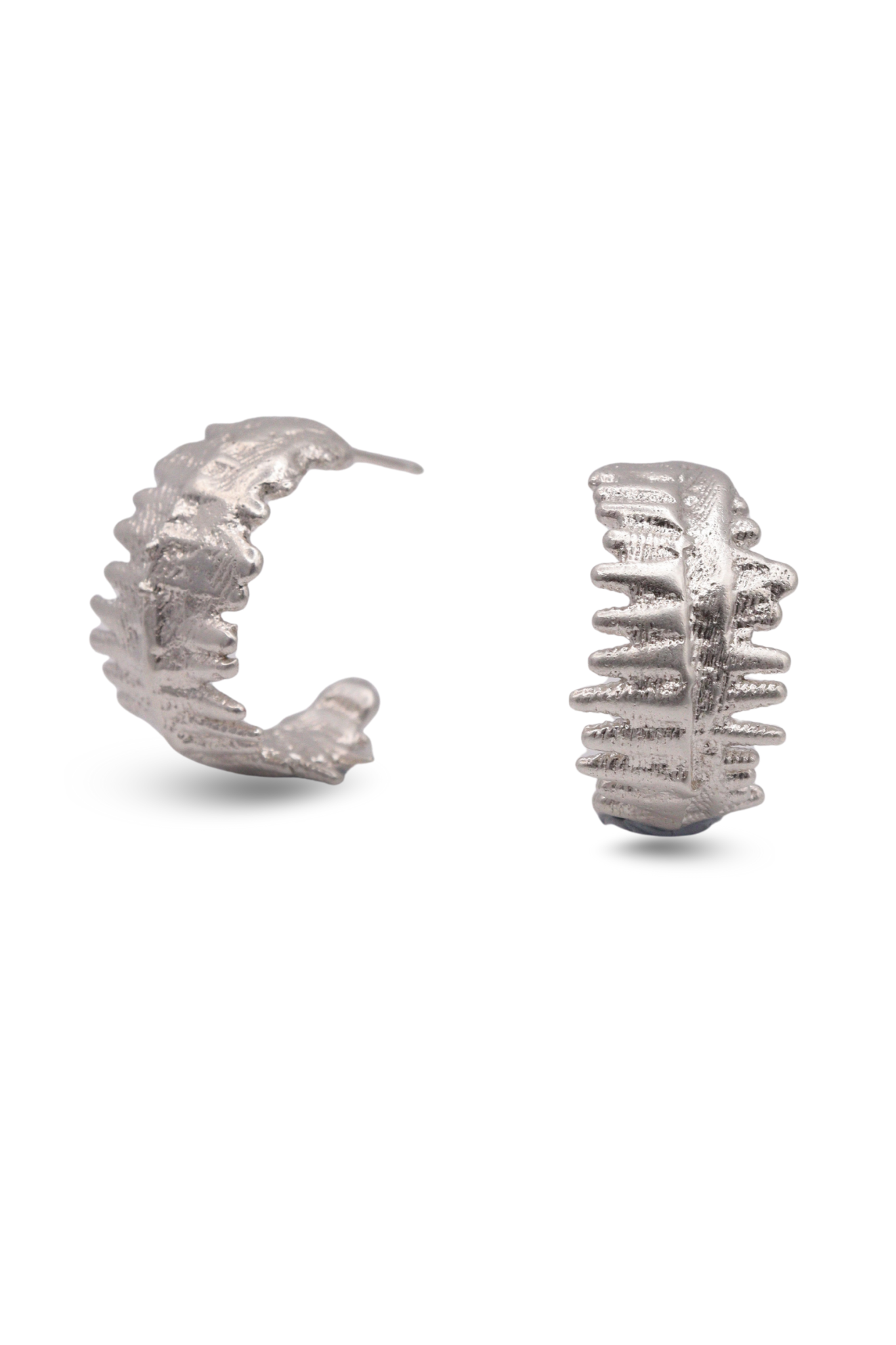 Emily Bailey Cuttlefish Hoops Silver 2.png
