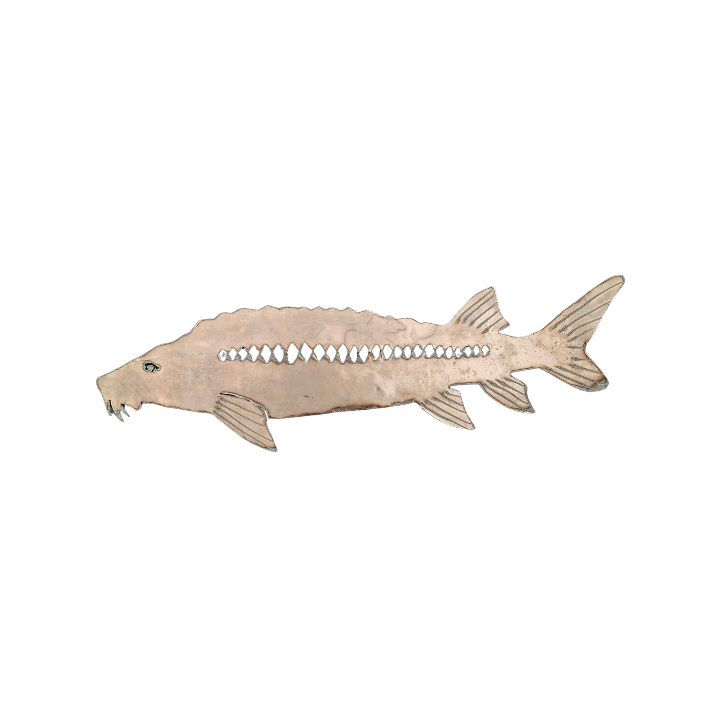 sturgeon2.png