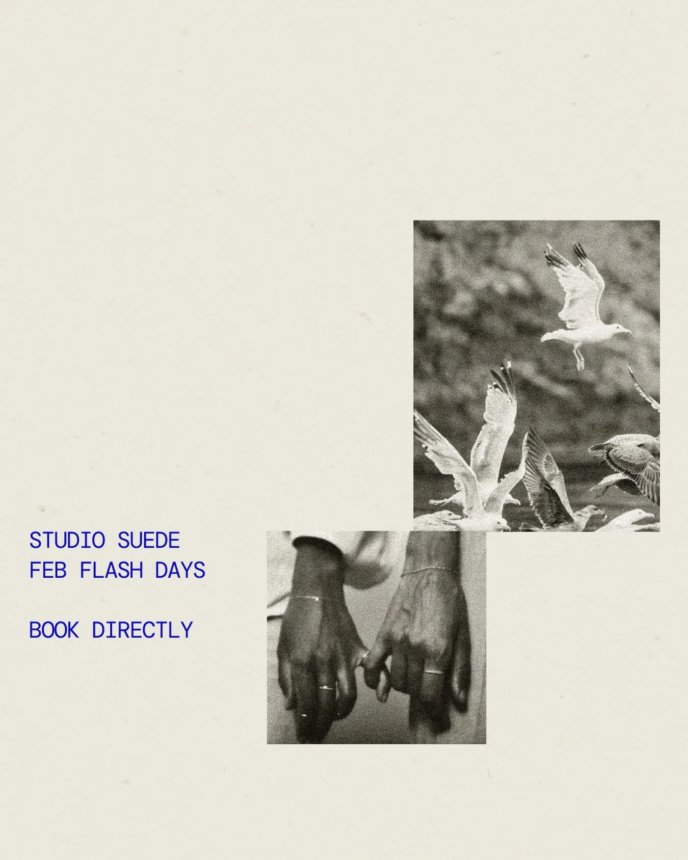 FEB FLASH DAYS ⭐️

Each artist will drop mini flash to book for a few days this month. Please check out their flash and booking links > @annasuede @inkbaee_ @yoojiepokes @nhiidles 

⭐️ No mod(s) unless specified
⭐️ Cash or Zelle only
⭐️ Arms/legs 