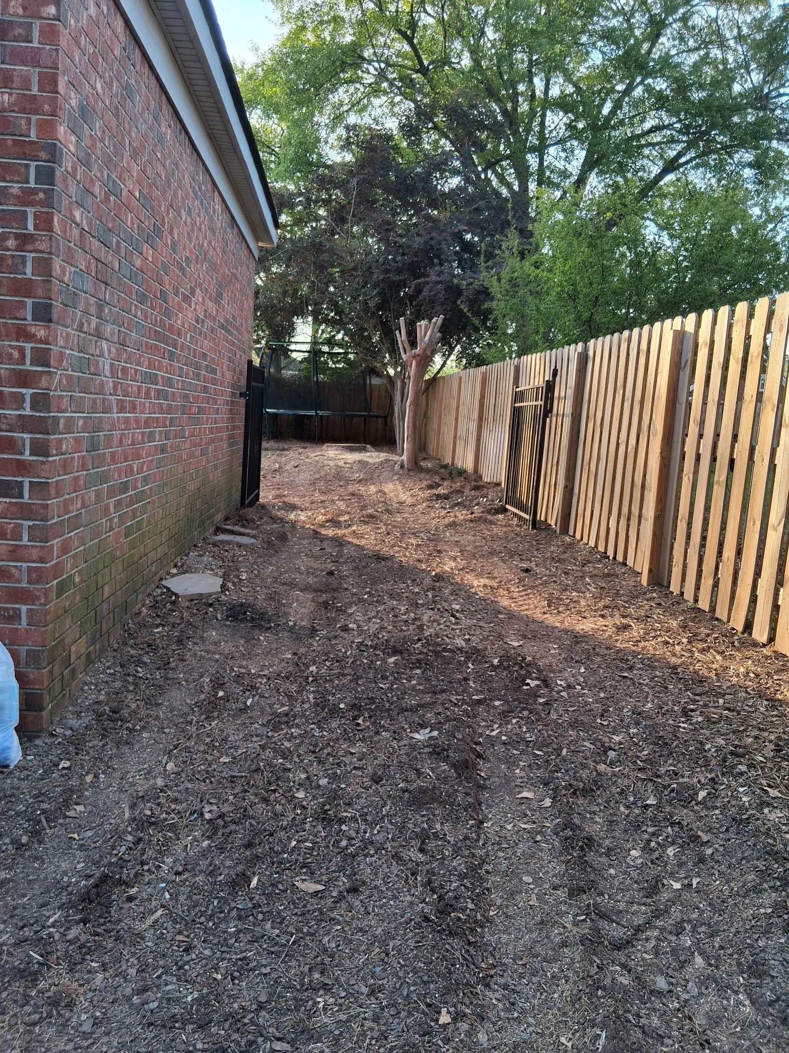 Tree Removal Near House
