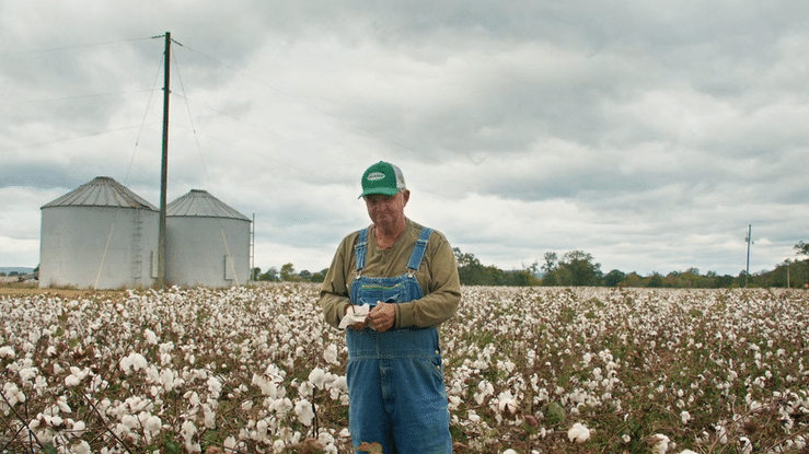 DELTAPINE | Strong cotton