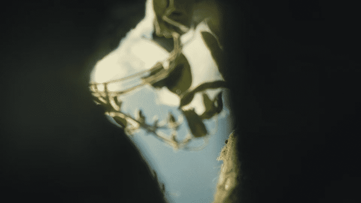 ASGROW | What do you grow