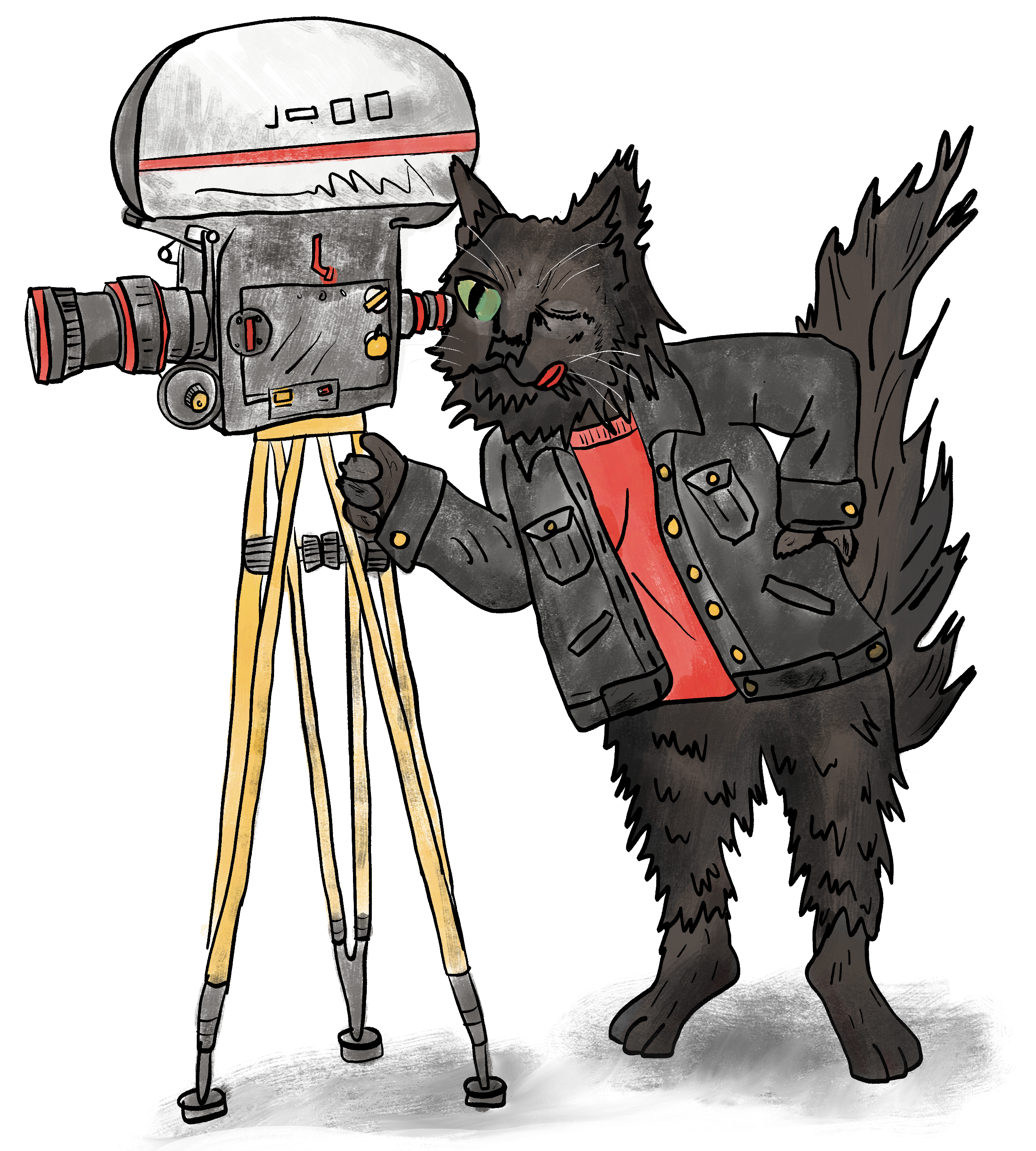 A person with a cat posing for a photograph with a vintage camera on a tripod.