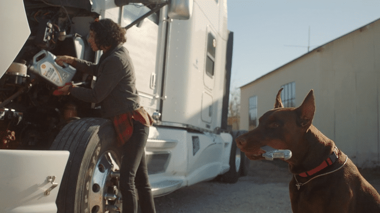 Shell Rotella | For the long haul | Semi owner