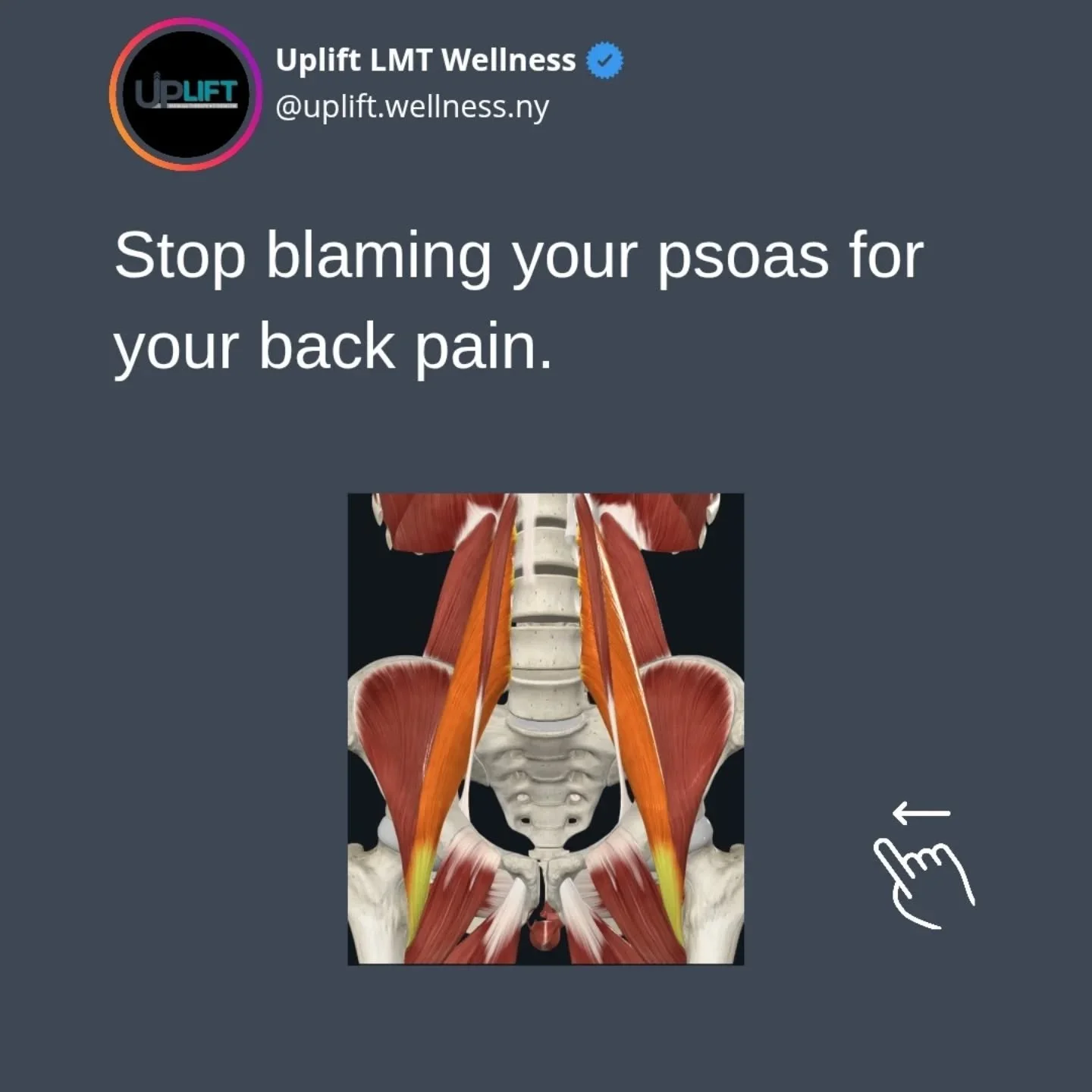STOP BLAMING YOUR PSOAS ON YOUR BACK PAIN

The psoas gets a lot of blame for lower back pain, and sometimes it can be important... BUT it often isn't the highest priority structure.

A lot of lower back pain occurs due to poor management of intra-abd