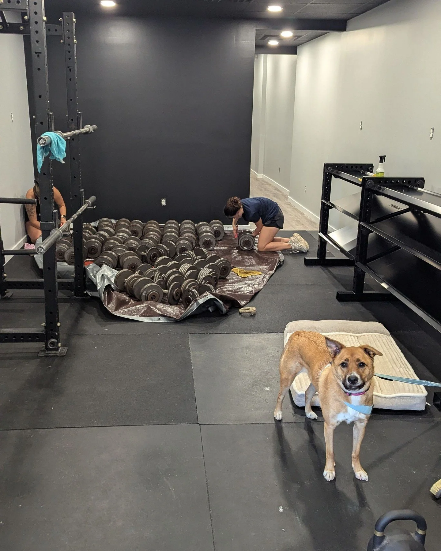 284 Wall Street Update PT.2!

Last Friday was the last of the very hard/heavy days. We only have a few more things to get into the office that should be pretty easy, then the rest is hanging stuff up/other final touches (and finally finish cleaning t