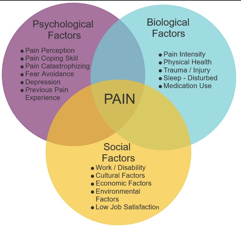 Biopsychosocial model of pain