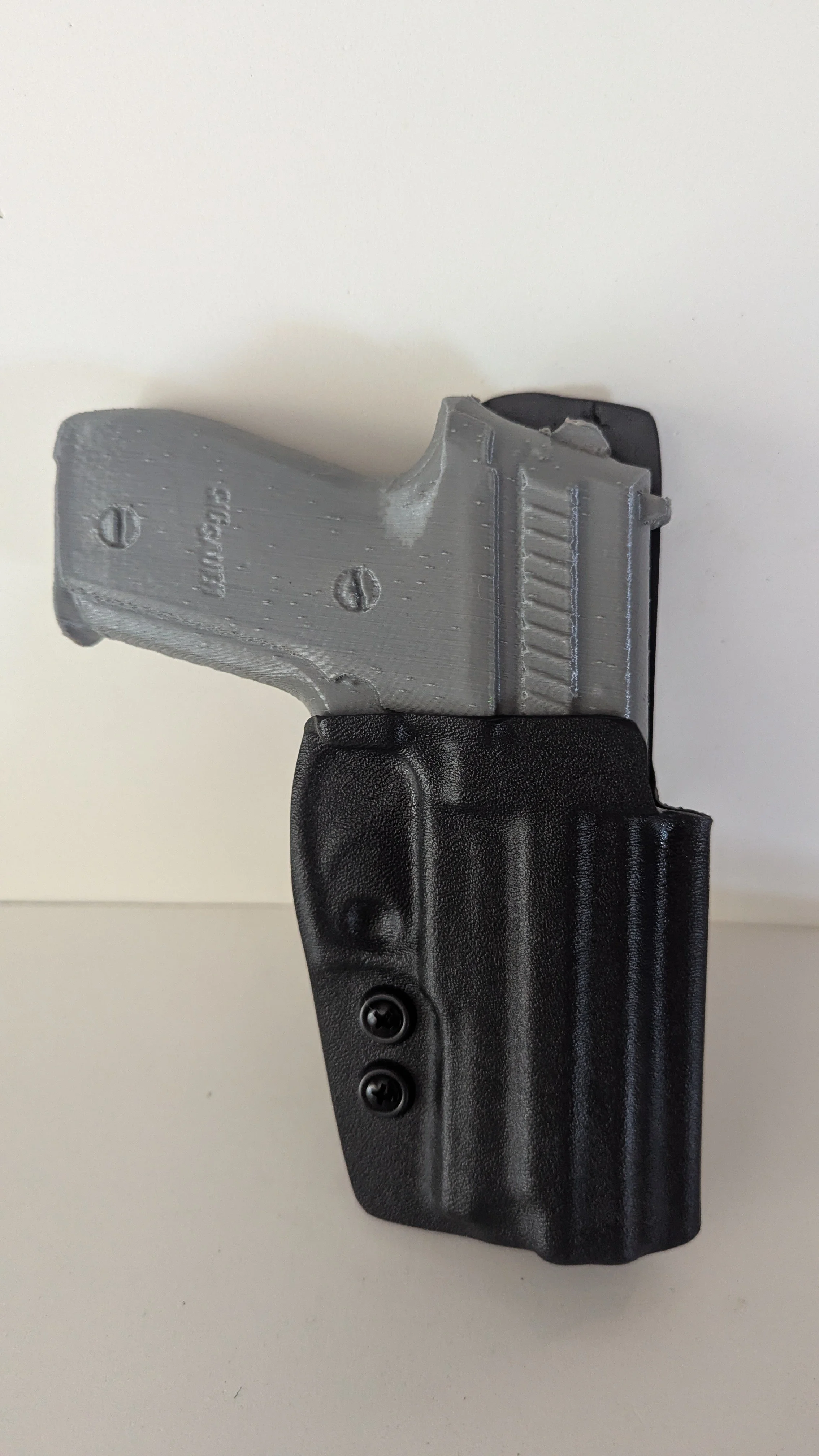 Sig P229- Outside the Waistband