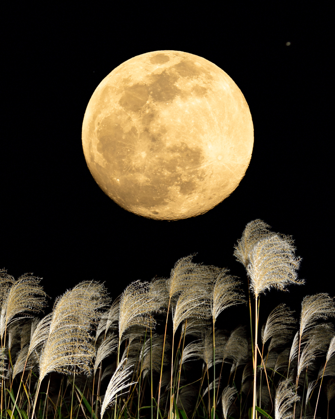 Harvest Full Moon Ceremony