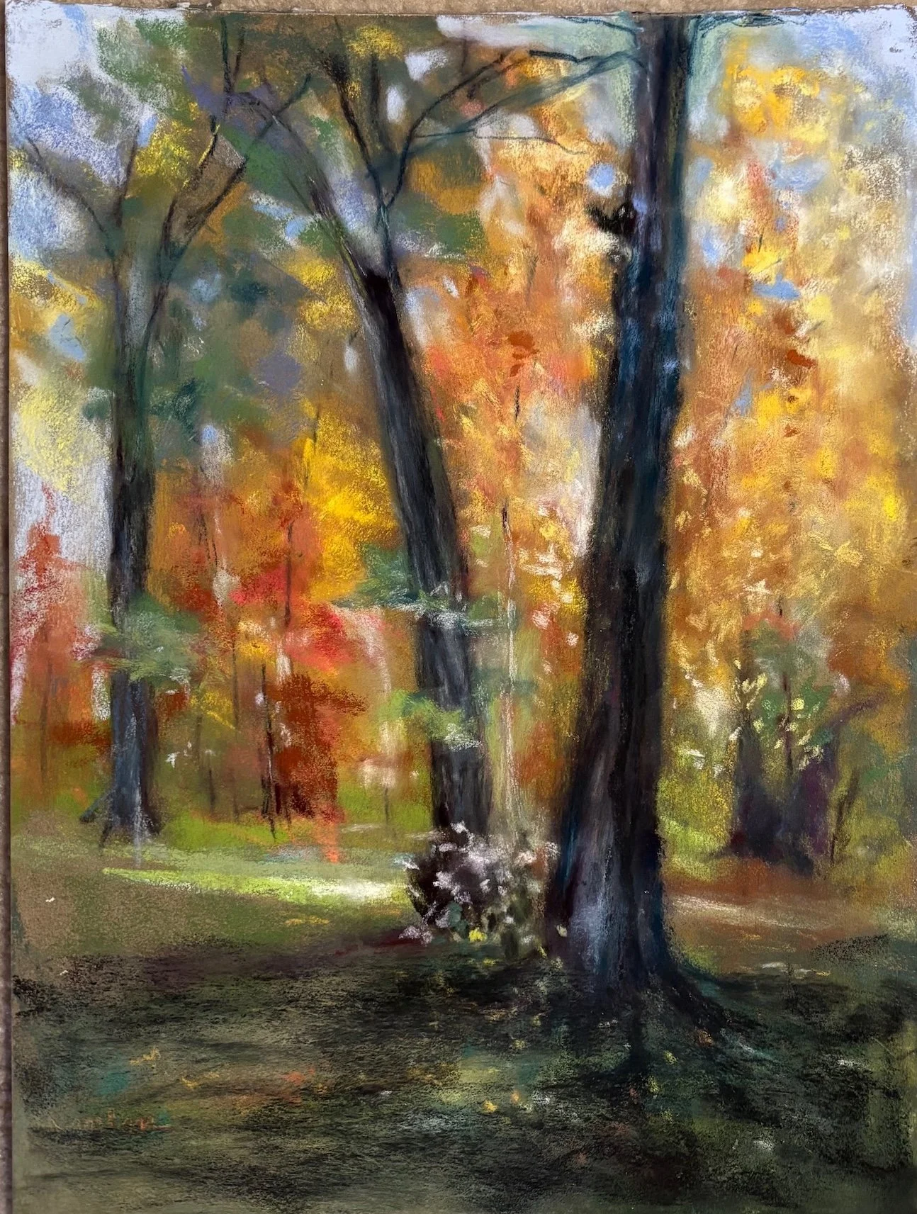 Trees for class.jpeg