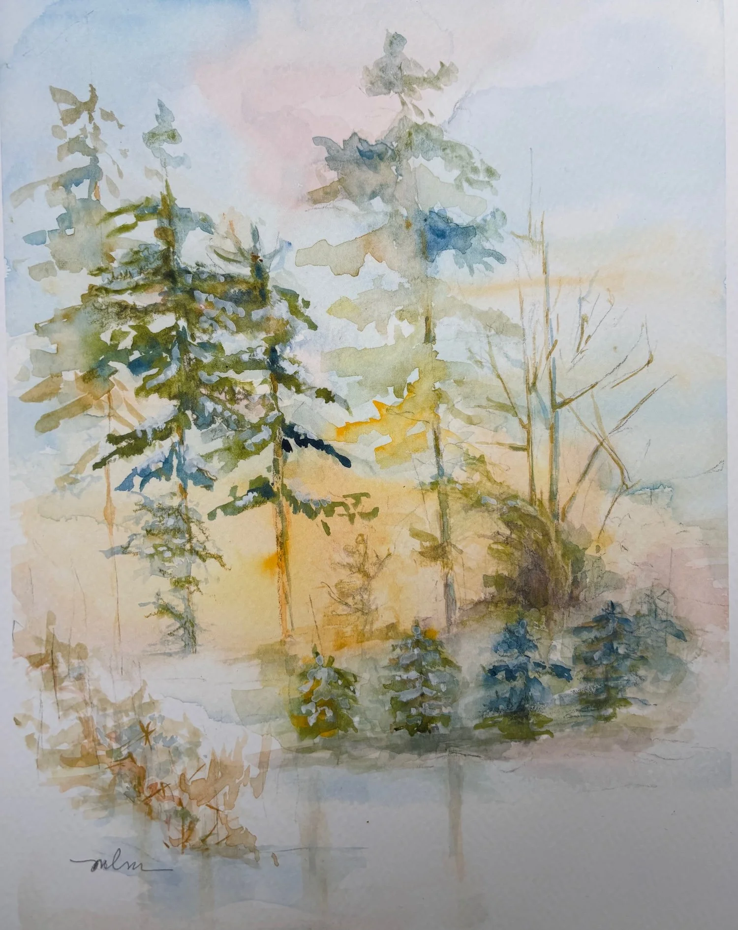 New England Pines Print, Limited Edition
