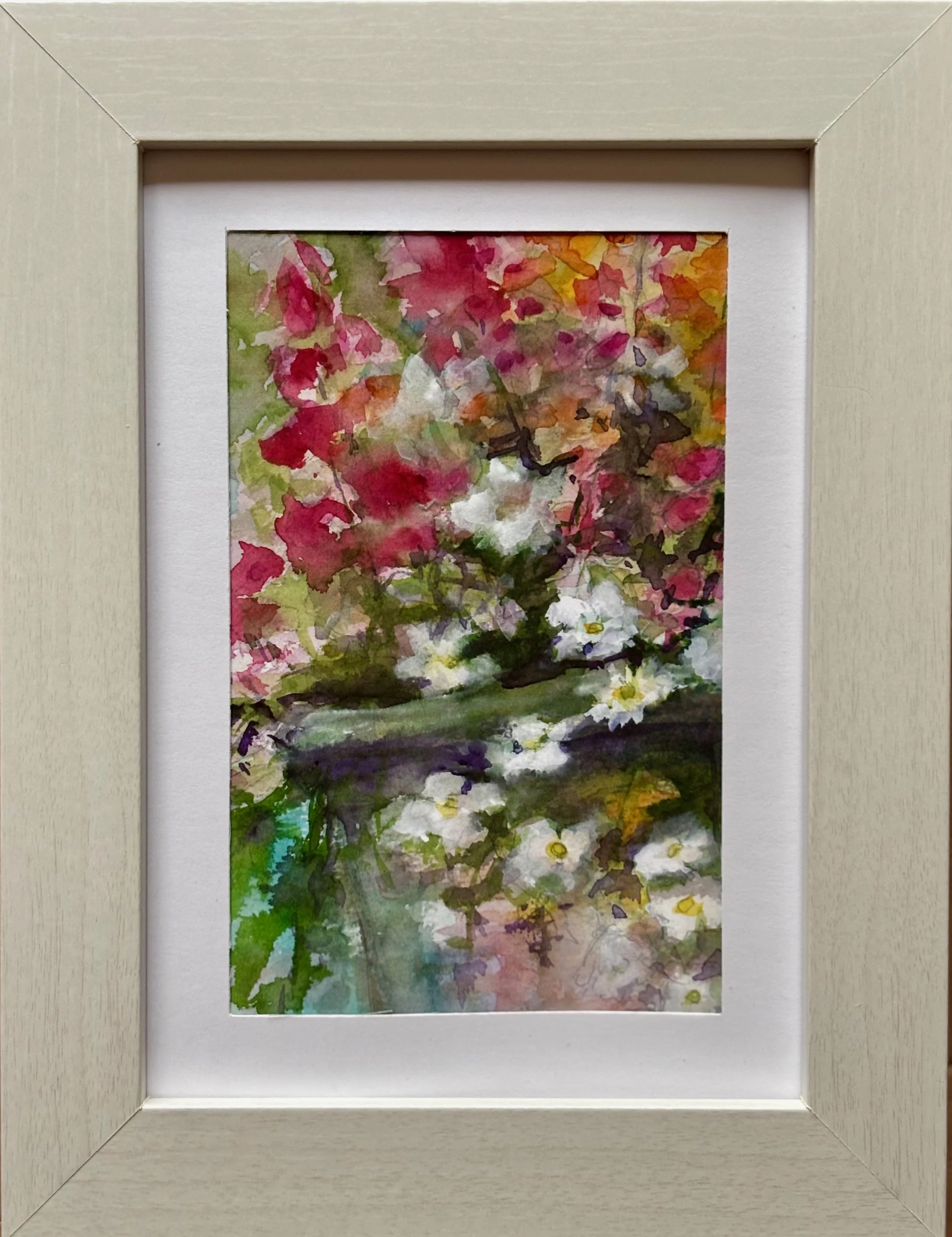 Profusion Greeting Card set of 5.  5 x 7 inches