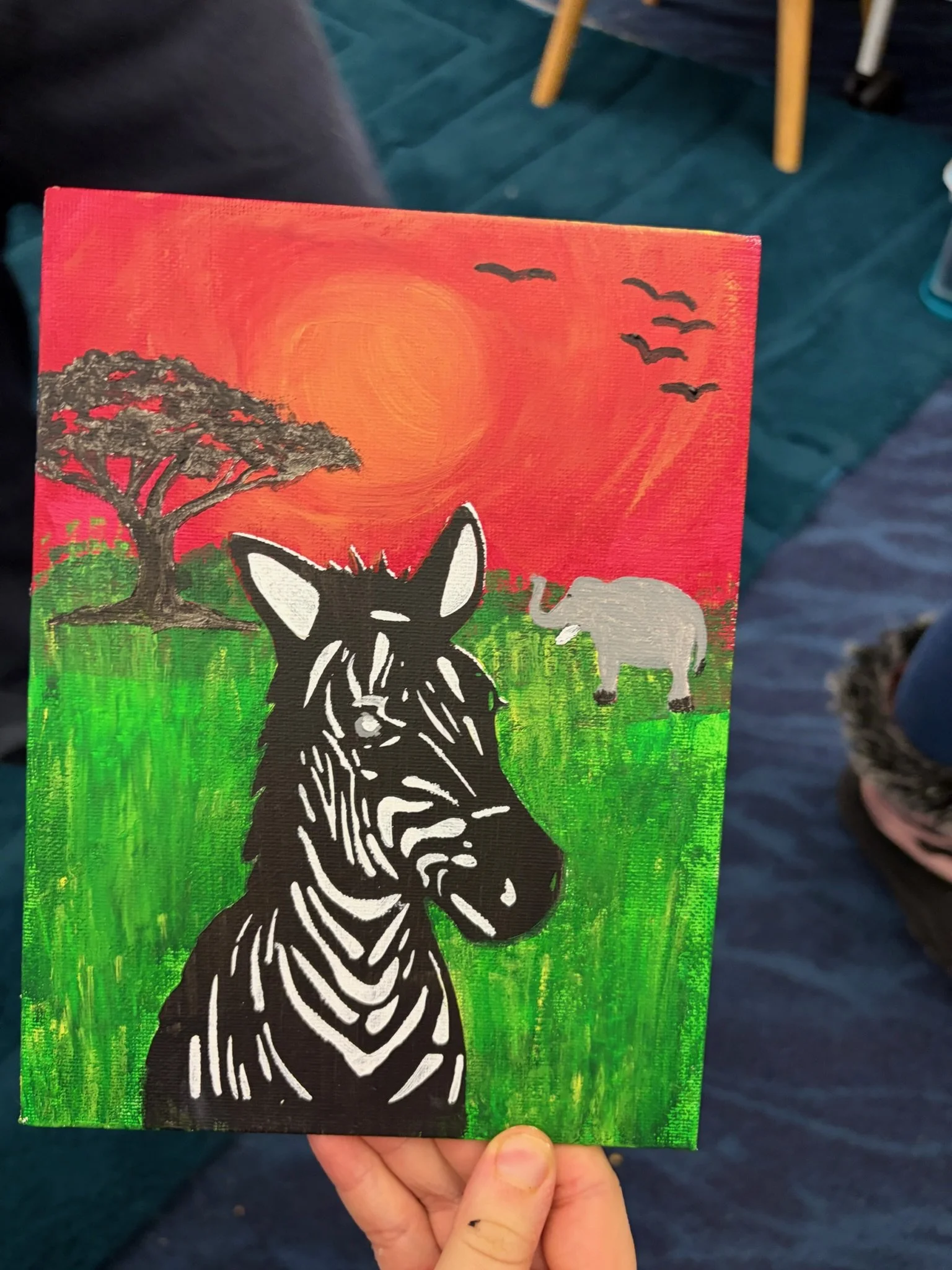 Zebra + Boabad (Winter 2026)