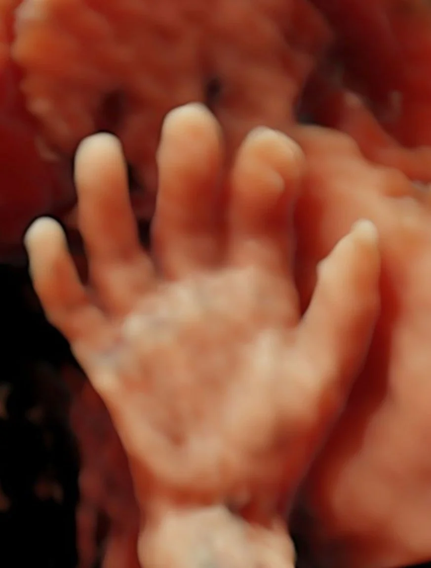 A small child's hand reaching out and gripping an adult's face gently.