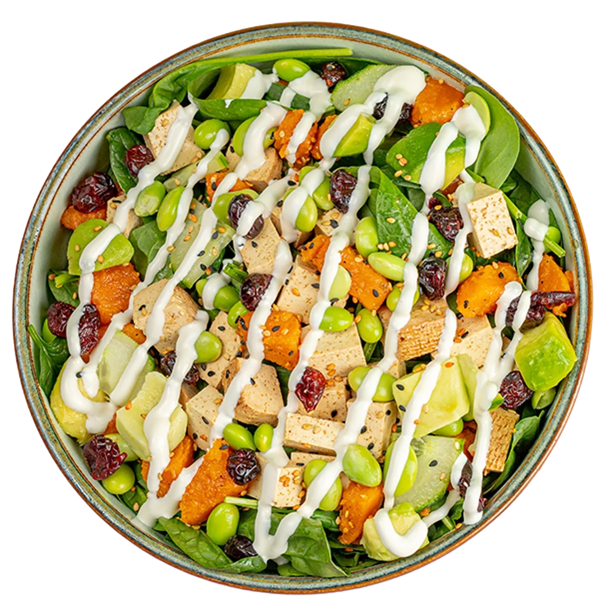 Mixed vegetable salad with sliced tofu, edamame, dried cranberries, chopped greens, and white dressing, in a bowl.