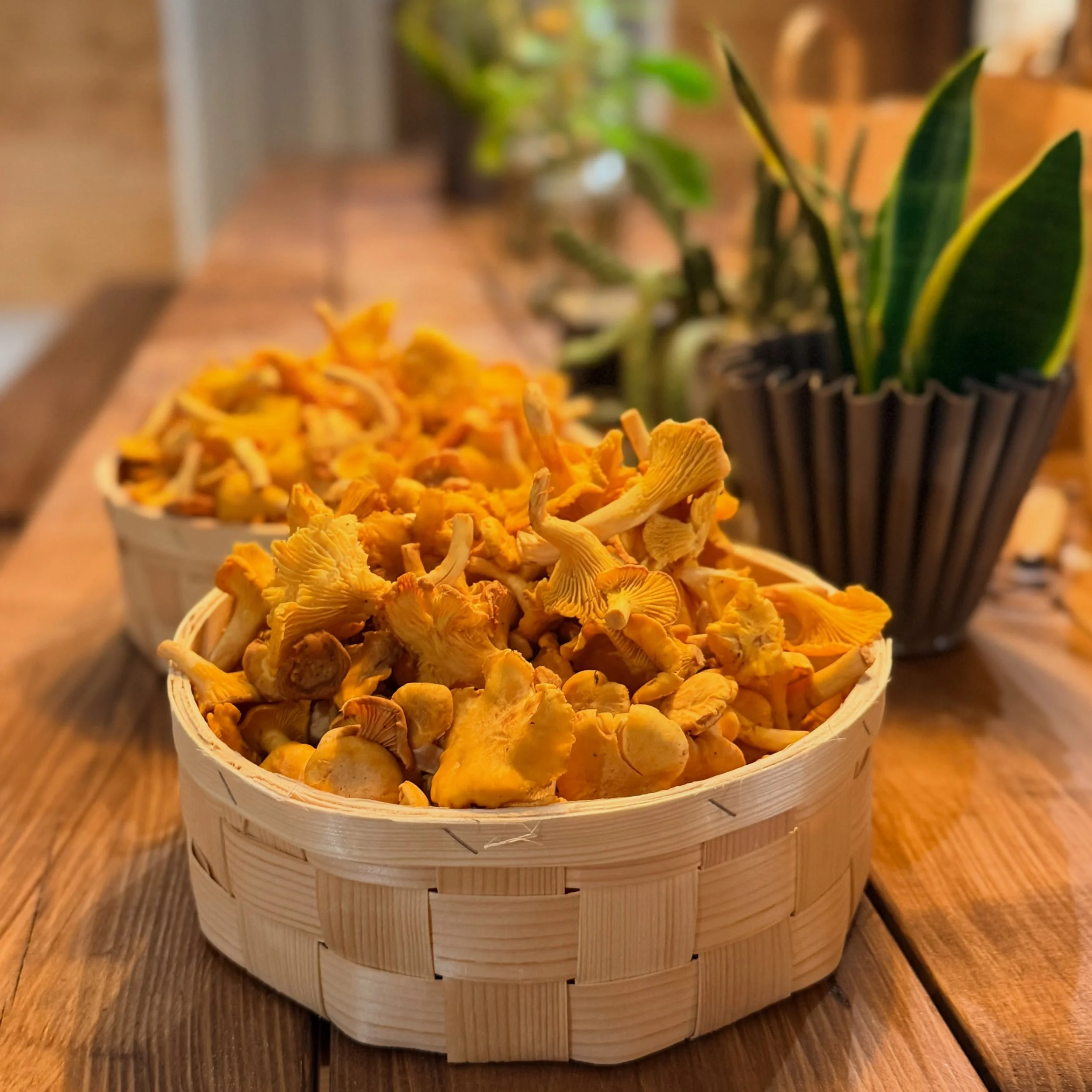 Nu har vi fyllt butiken med s&auml;songens godaste r&aring;varor, mj&ouml;ler och schysta k&ouml;ksprylar.

 Tomater, gurka och snackspaprika fr&aring;n Mats i Mehedeby &ndash; 75 kr/kg
Rensade kantareller plockade i de uppl&auml;ndska skogarna &ndas