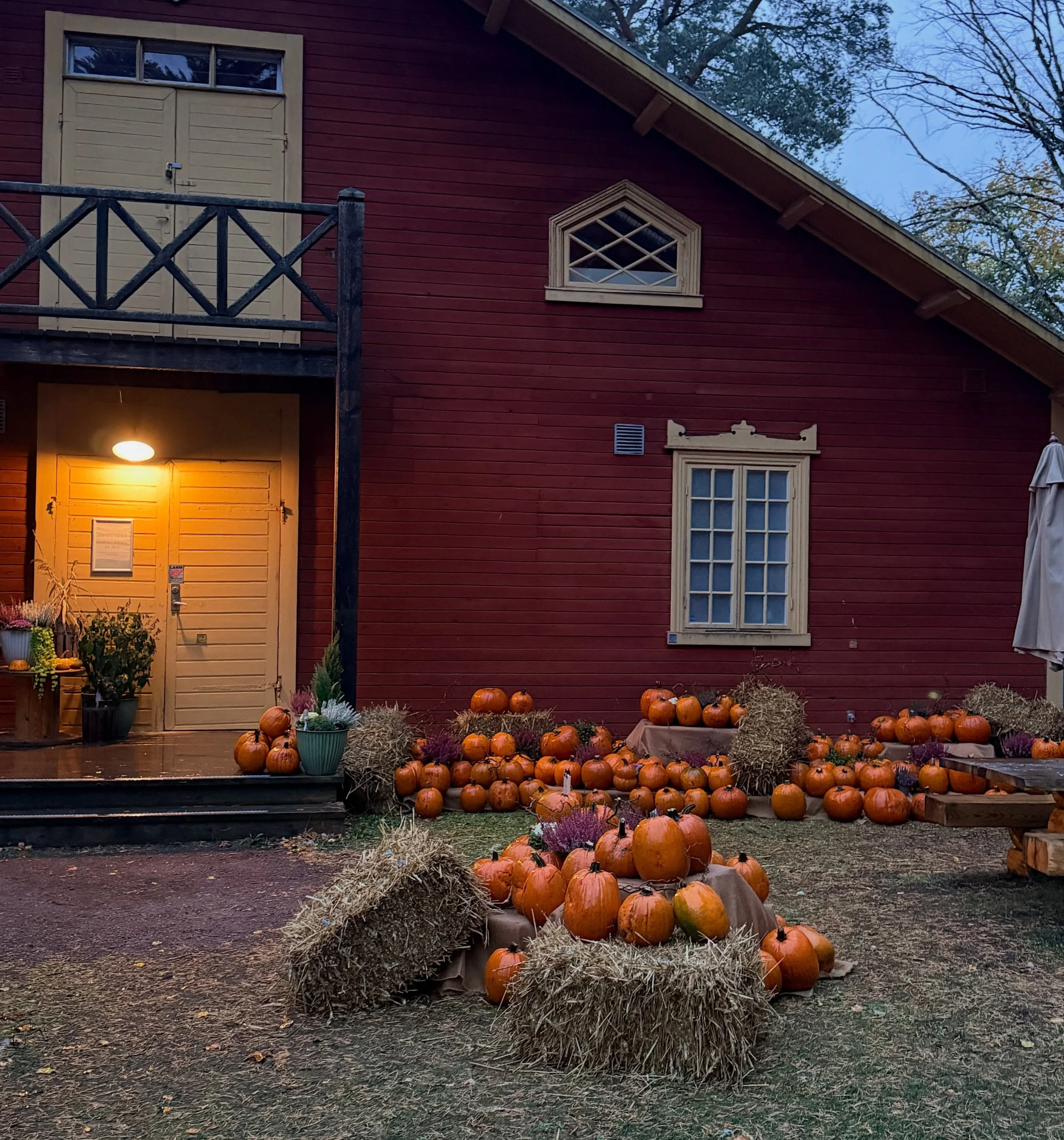 🎃🍂 Halloween n&auml;rmar sig! 🍂🎃

Och vad passar v&auml;l b&auml;ttre &auml;n fina, svenskodlade halloweenpumpor f&ouml;r att skapa riktig h&ouml;stst&auml;mning!

Utanf&ouml;r Eldhuset har vi laddat upp med pumpor i alla m&ouml;jliga storlekar, 