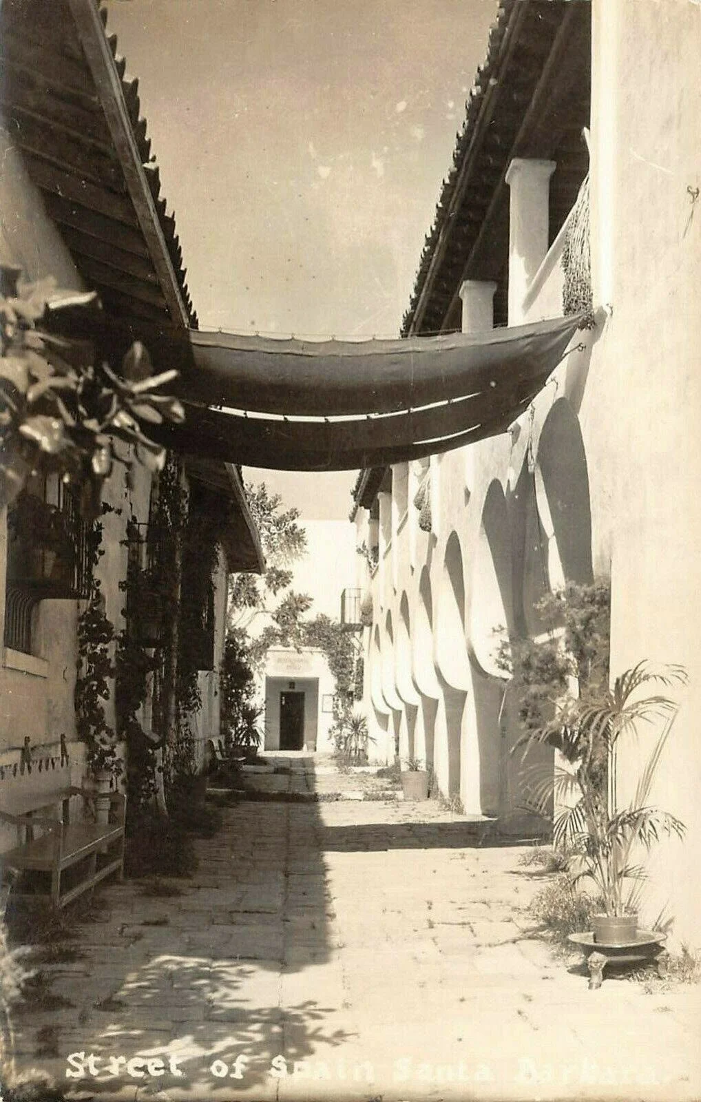 A vintage black-and-white photo showing a narrow street with potted plants, benches, and buildings with arched windows and balconies. There is a fabric awning extending over the street, and trees can be seen in the background.