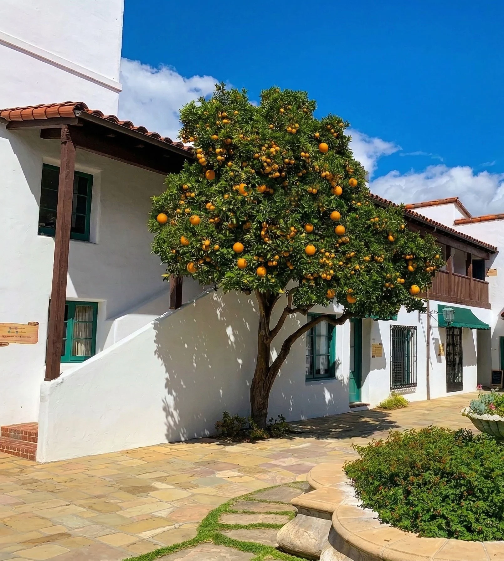 A citrus tree with orange fruit growing in front of a white Mediterranean-style building with green window frames and brown roof tiles, under a partly cloudy blue sky.