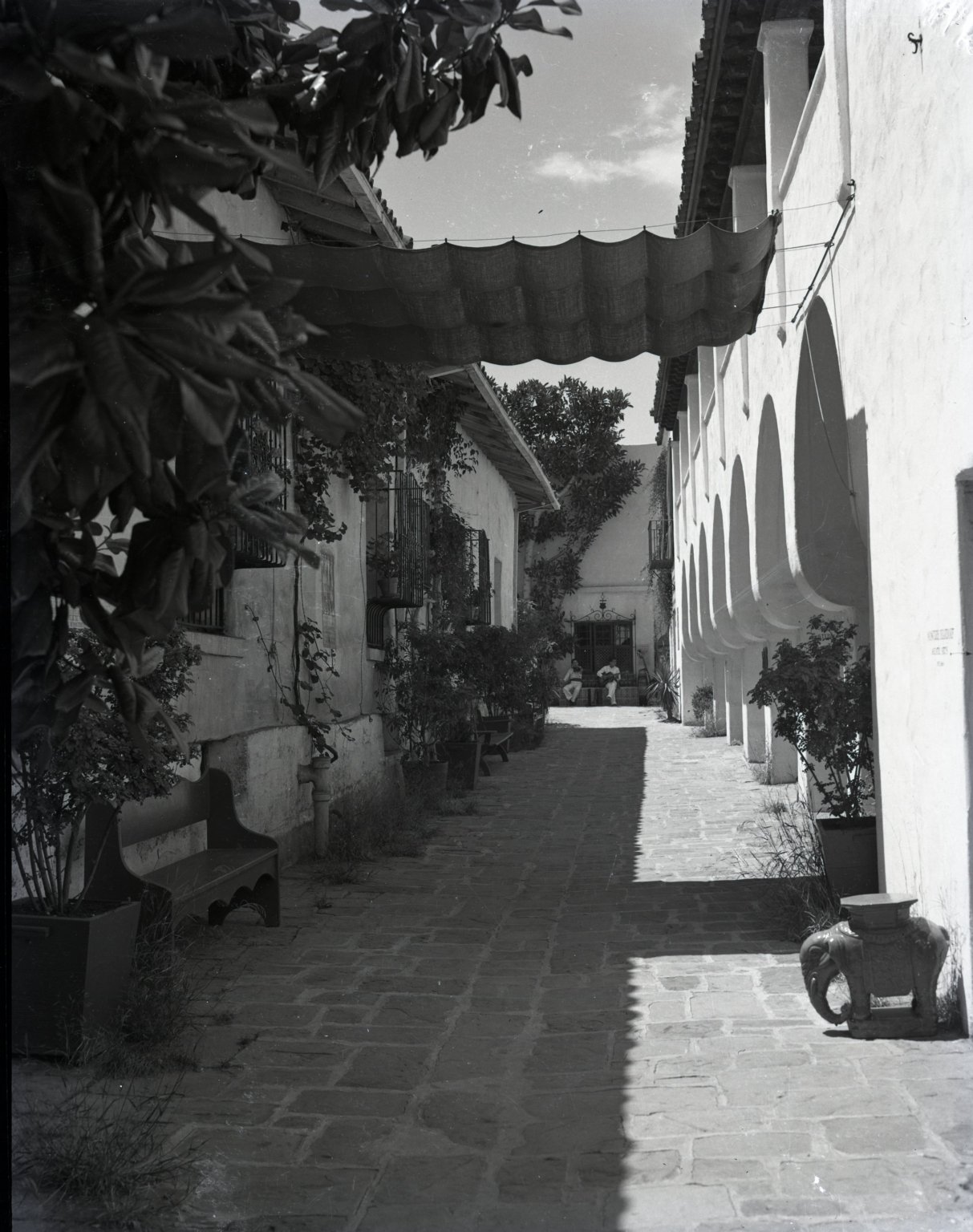 A black and white photo of a narrow outdoor courtyard with plants, benches, and a building with arched shadows.