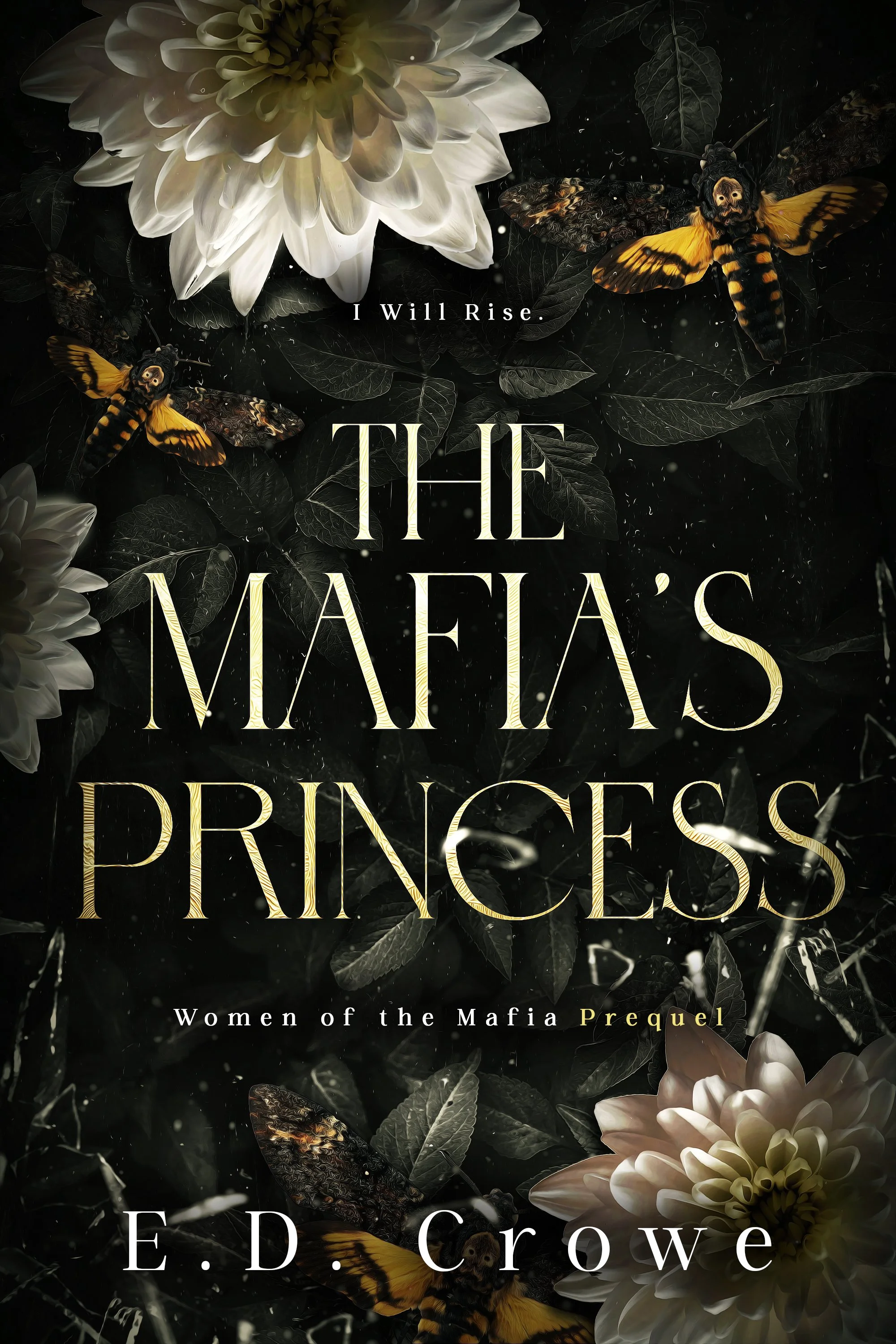 The Mafia's Princess-2.jpg
