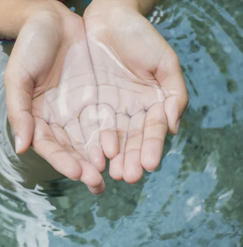 Womb Waters Coaching & Ceremony