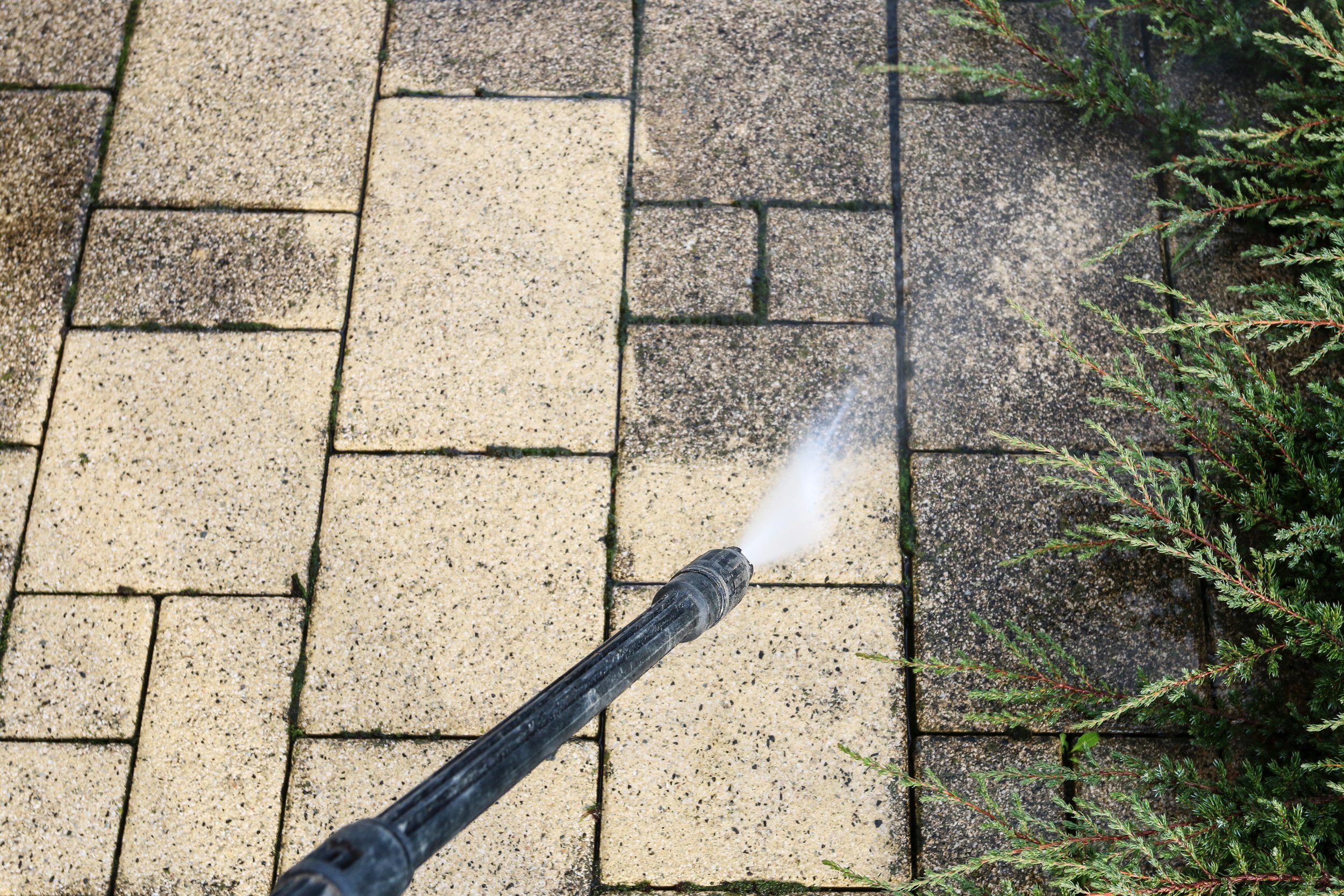 AdobeStock_449404071 (1).jpeg