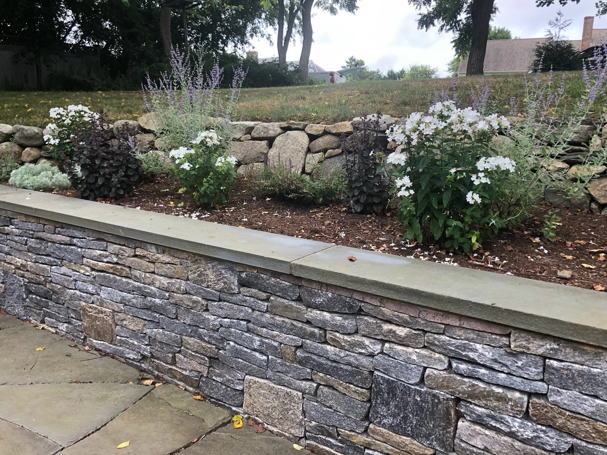 Stone retaining wall with flowering bushes and plants in a garden bed
