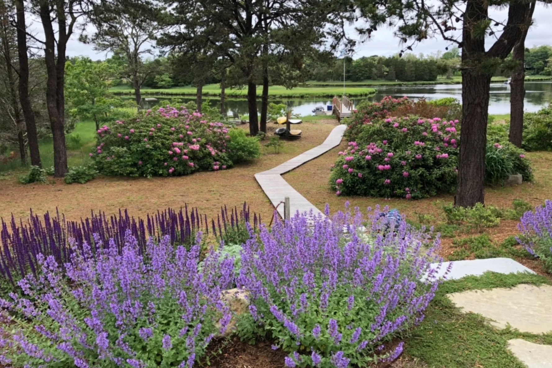 A landscaped garden by a lake with a winding white path, purple and pink flowering bushes, trees, and a small dock visible in the background.