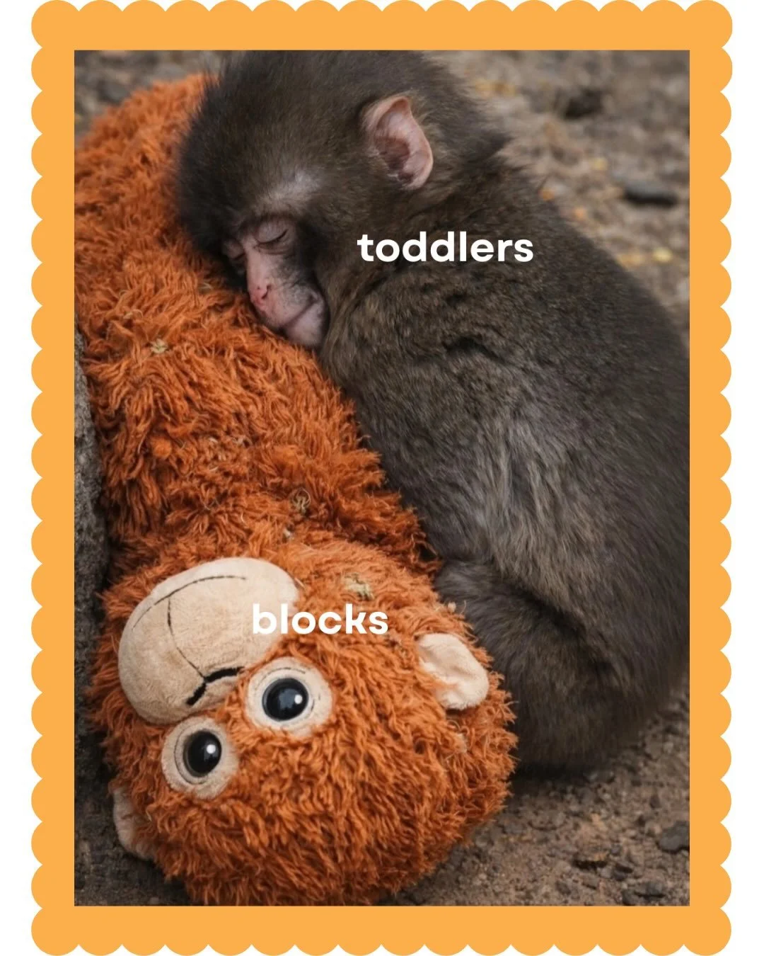 We don&rsquo;t make the rules 🤷&zwj;♀️

If any of this sounds relatable, we think you&rsquo;ll love joining the Bitty Builders community. Check out our pinned posts to see where you&rsquo;ll find us next.