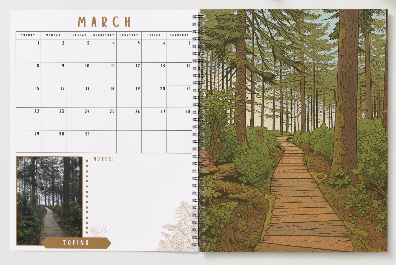 Screenshot 2025-10-02 at 1.32.25 PM.png