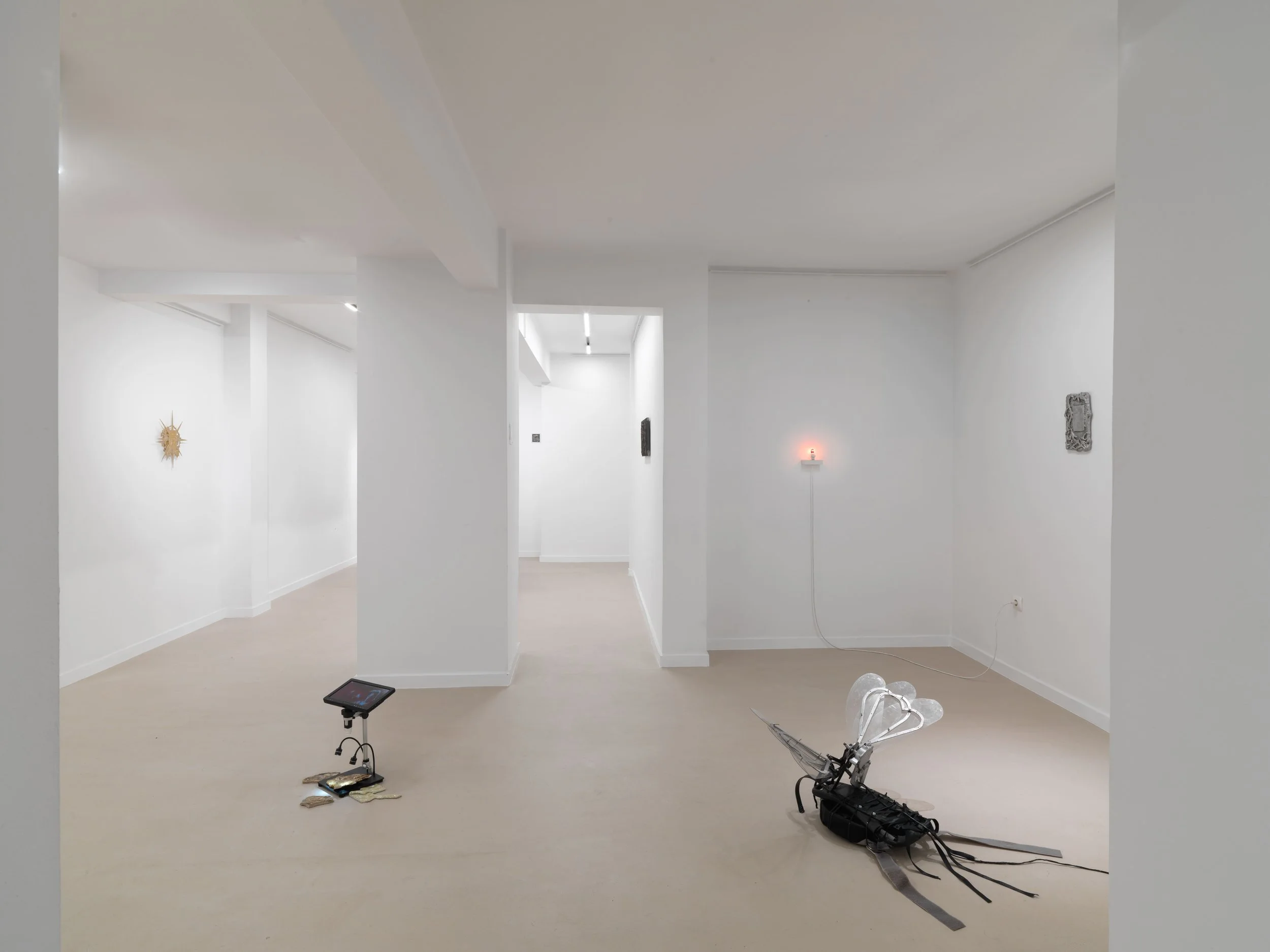 10_UPPER ANKYLE_8059.new.jpg