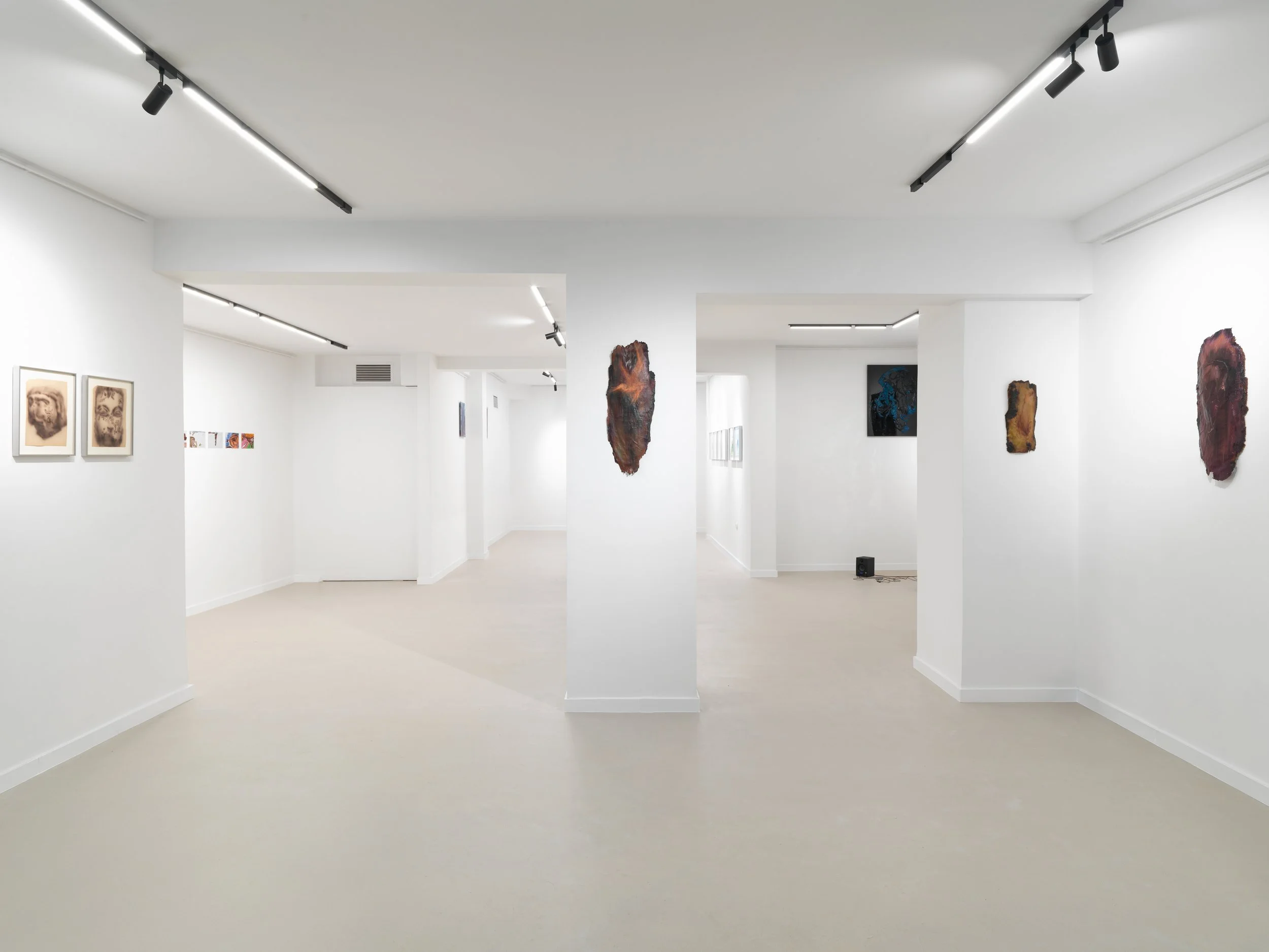 11_UPPER ANKYLE_5228.jpg