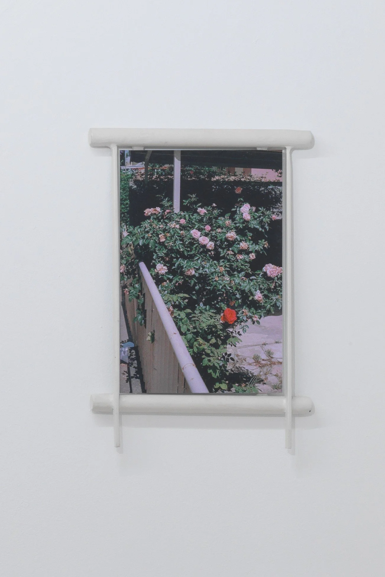 25_UPPER ANKYLE_8177.2.jpg