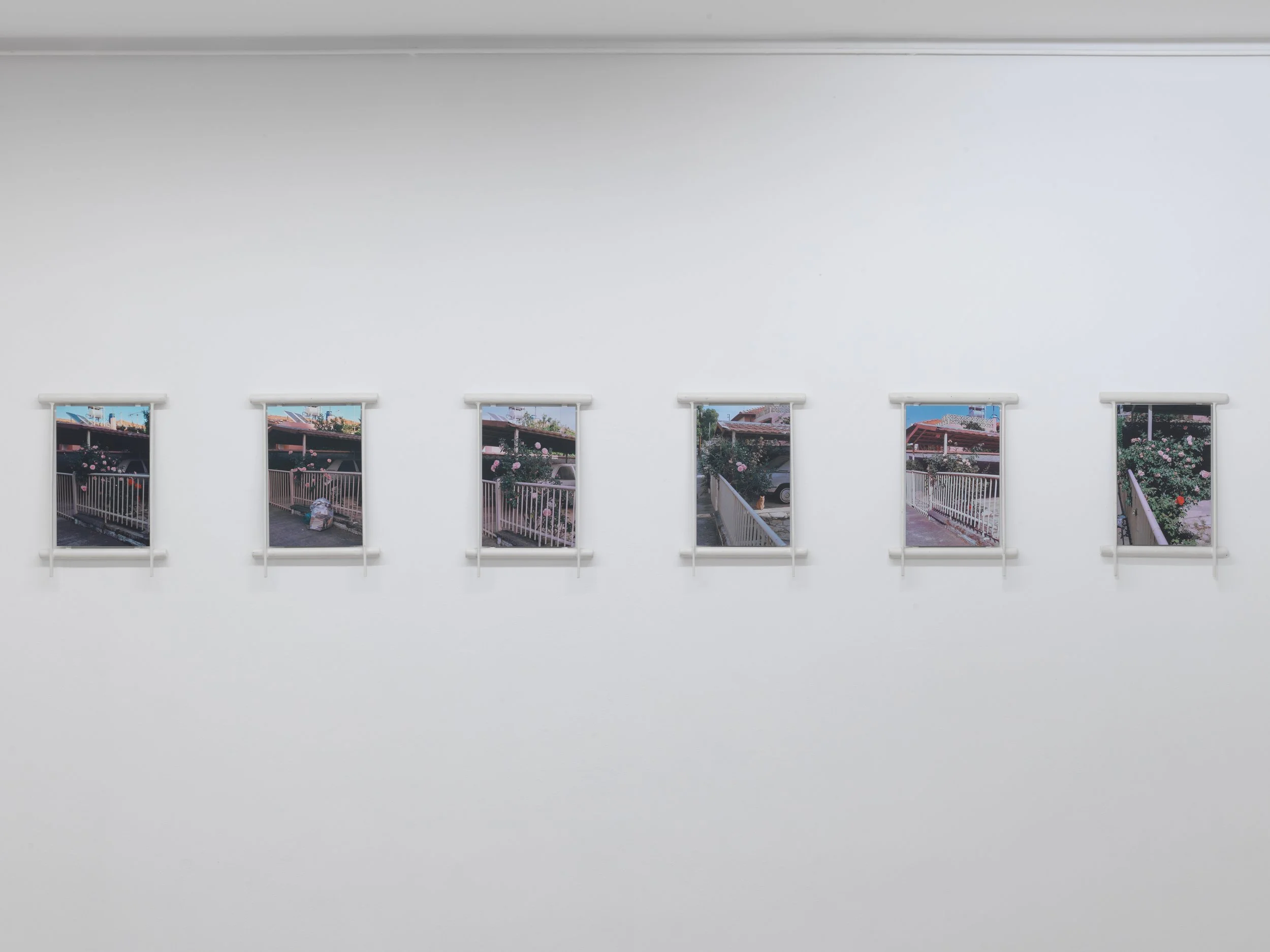 25_UPPER ANKYLE_8177.jpg