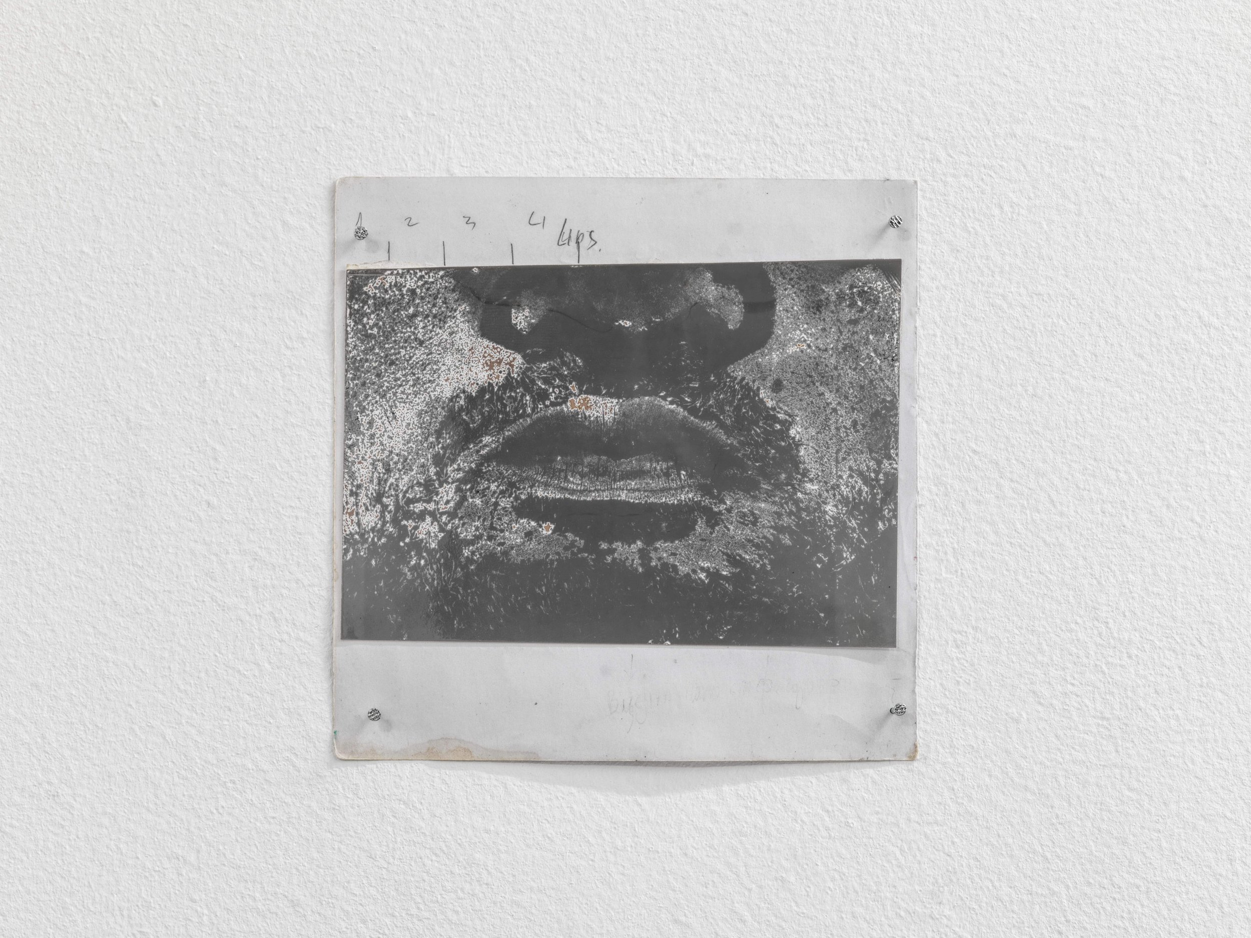 19_UPPER ANKYLE_8140.jpg