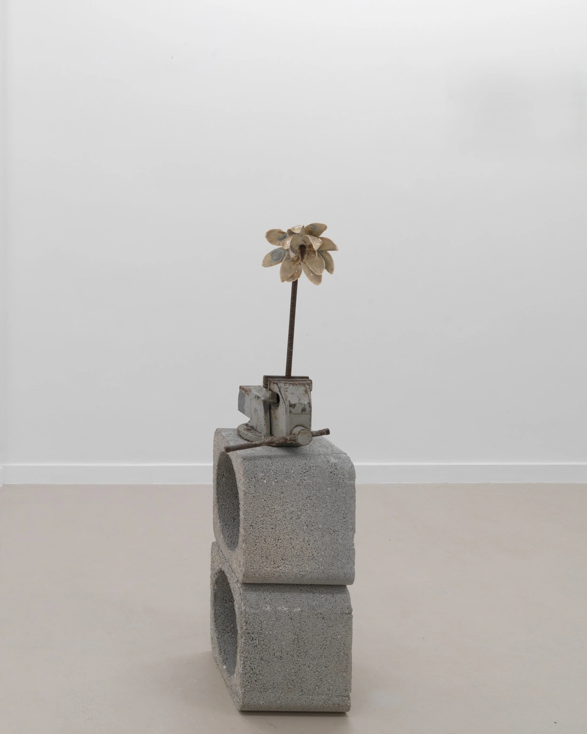 01_UPPER ANKYLE_7966.1.jpg