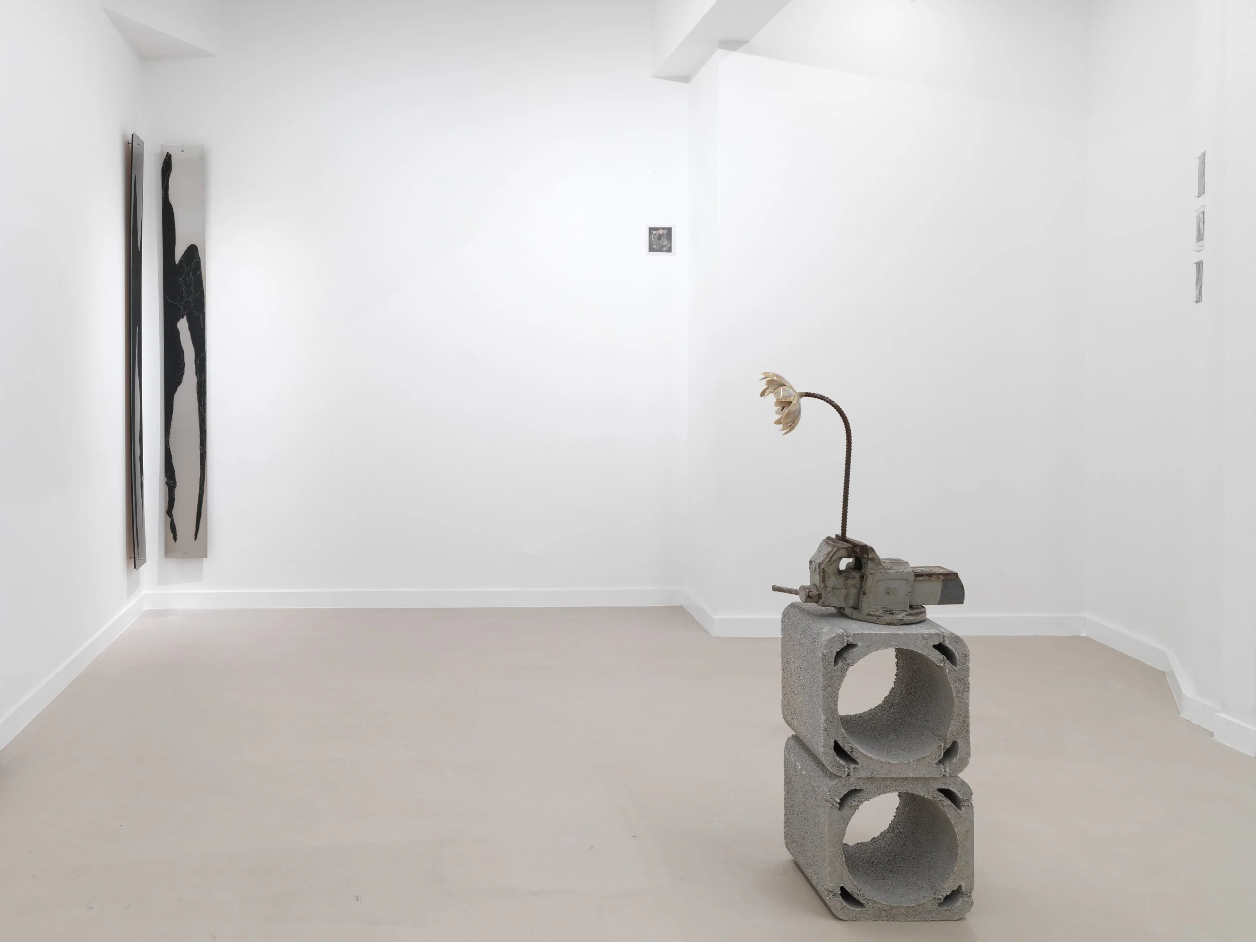 02_UPPER ANKYLE_7971.jpg