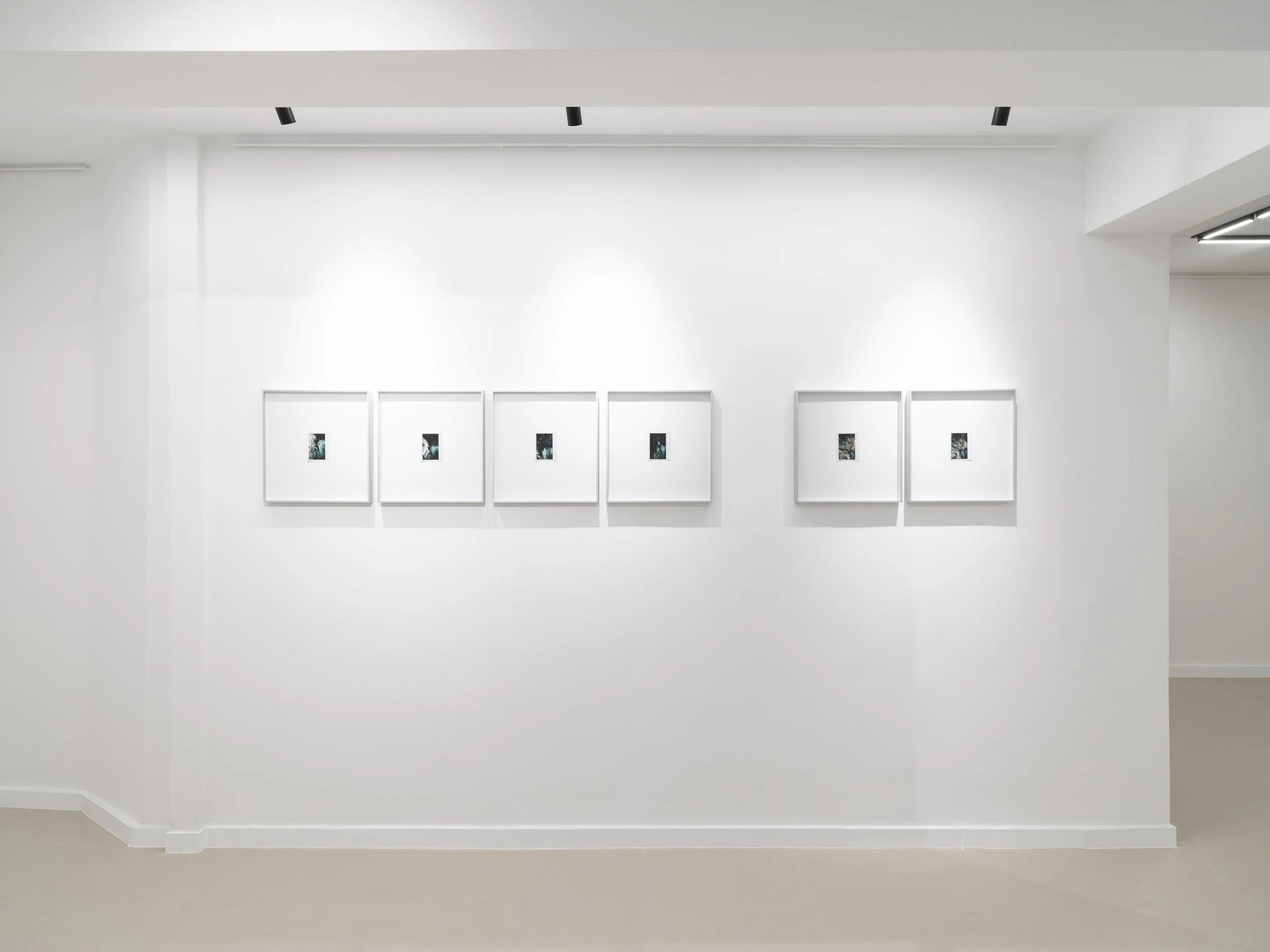 30_UPPER ANKYLE_5321.jpg