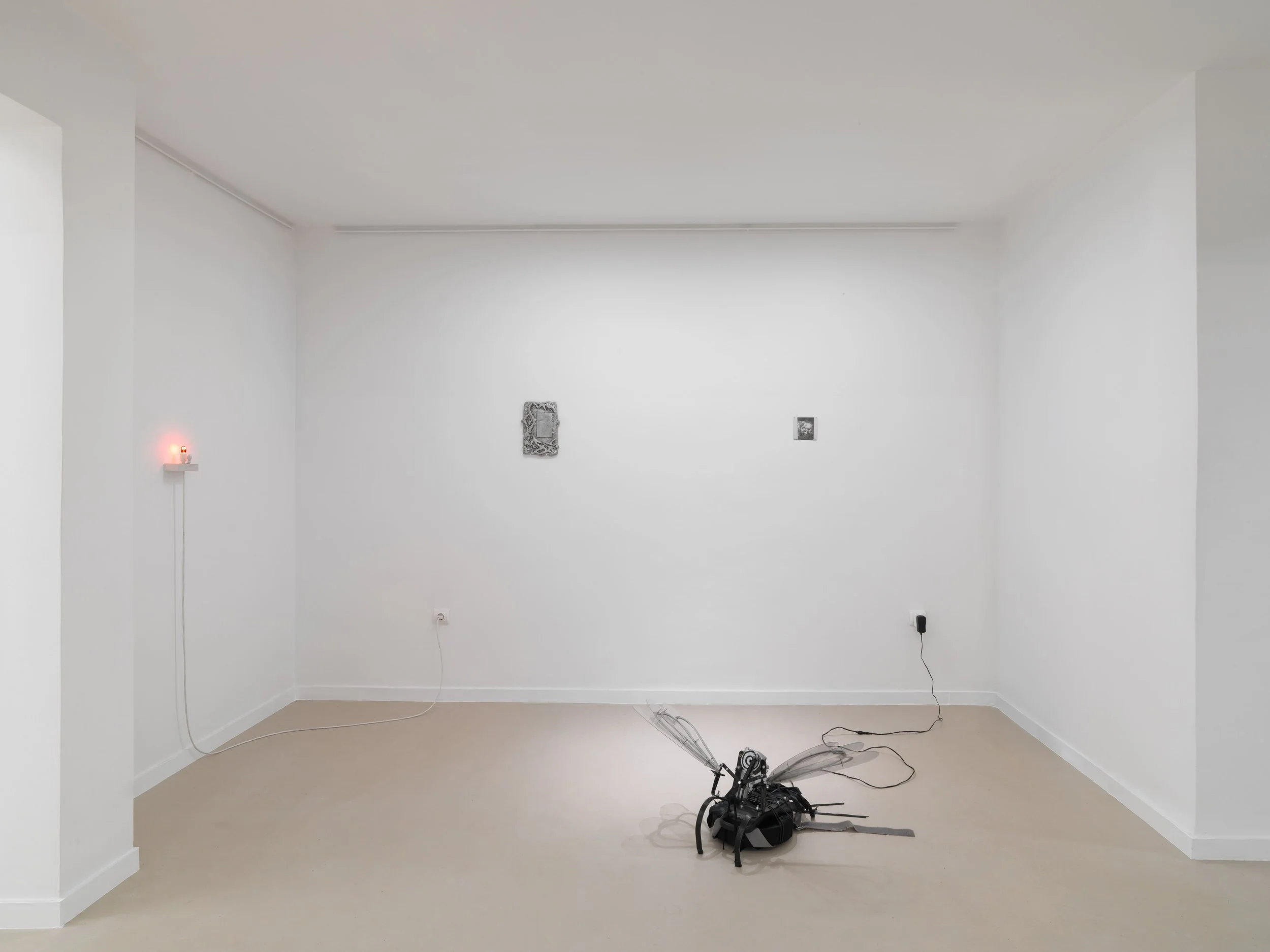 08_UPPER ANKYLE_8036.new.jpg