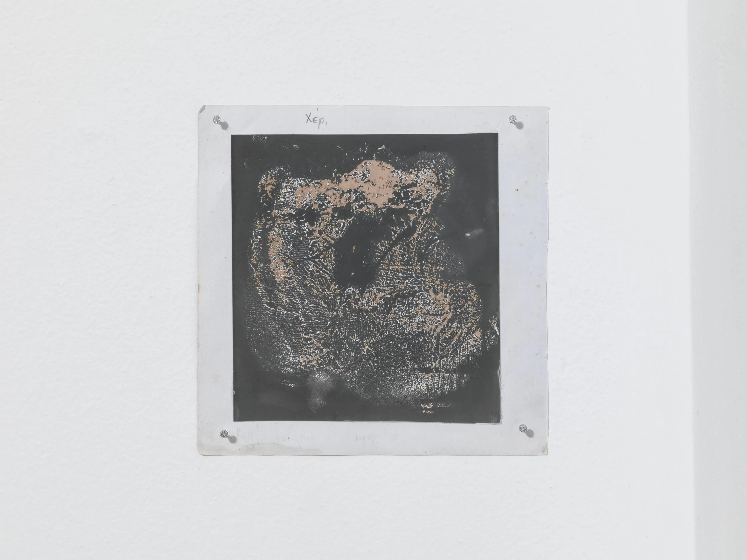 23_UPPER ANKYLE_8153.jpg