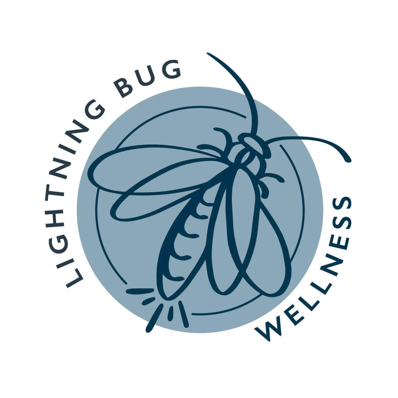 A logo featuring a stylized mosquito in front of a blue circle, with the words "Lighting Bug Wellness" arranged around the circle.