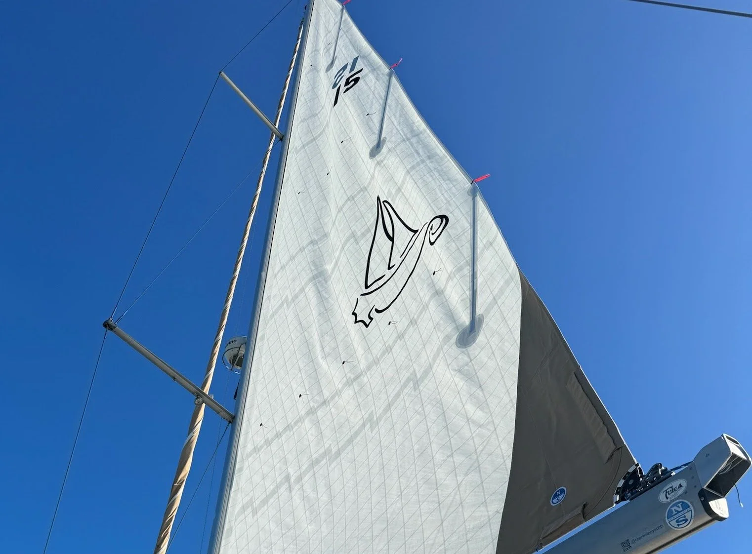 Close-up of a sailboat sail with a black outline of a horseshoe and animal head logo against a clear blue sky.