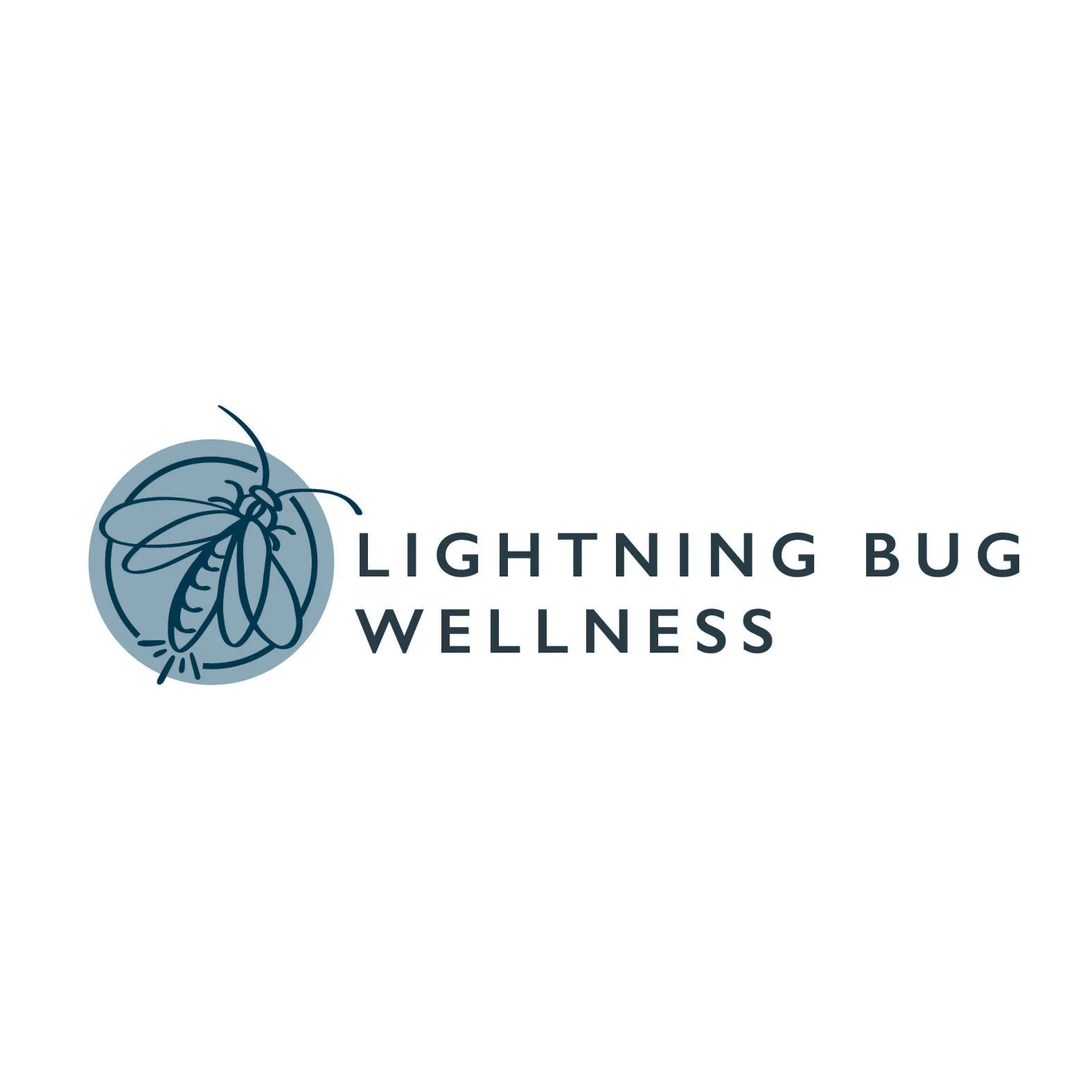 Logo of Lightning Bug Wellness featuring a stylized lightning bug inside a blue circle with the text 'Lightning Bug Wellness' to the right.