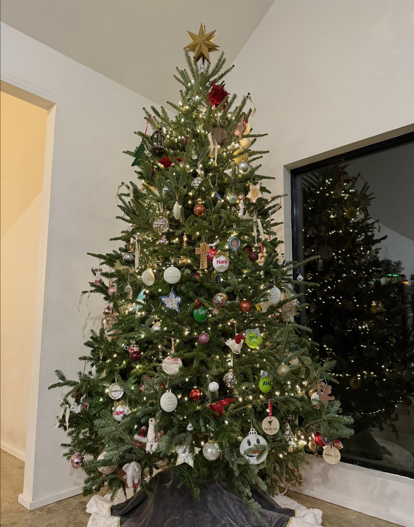 Our Christmas trees light up homes all over Diana, Texas!