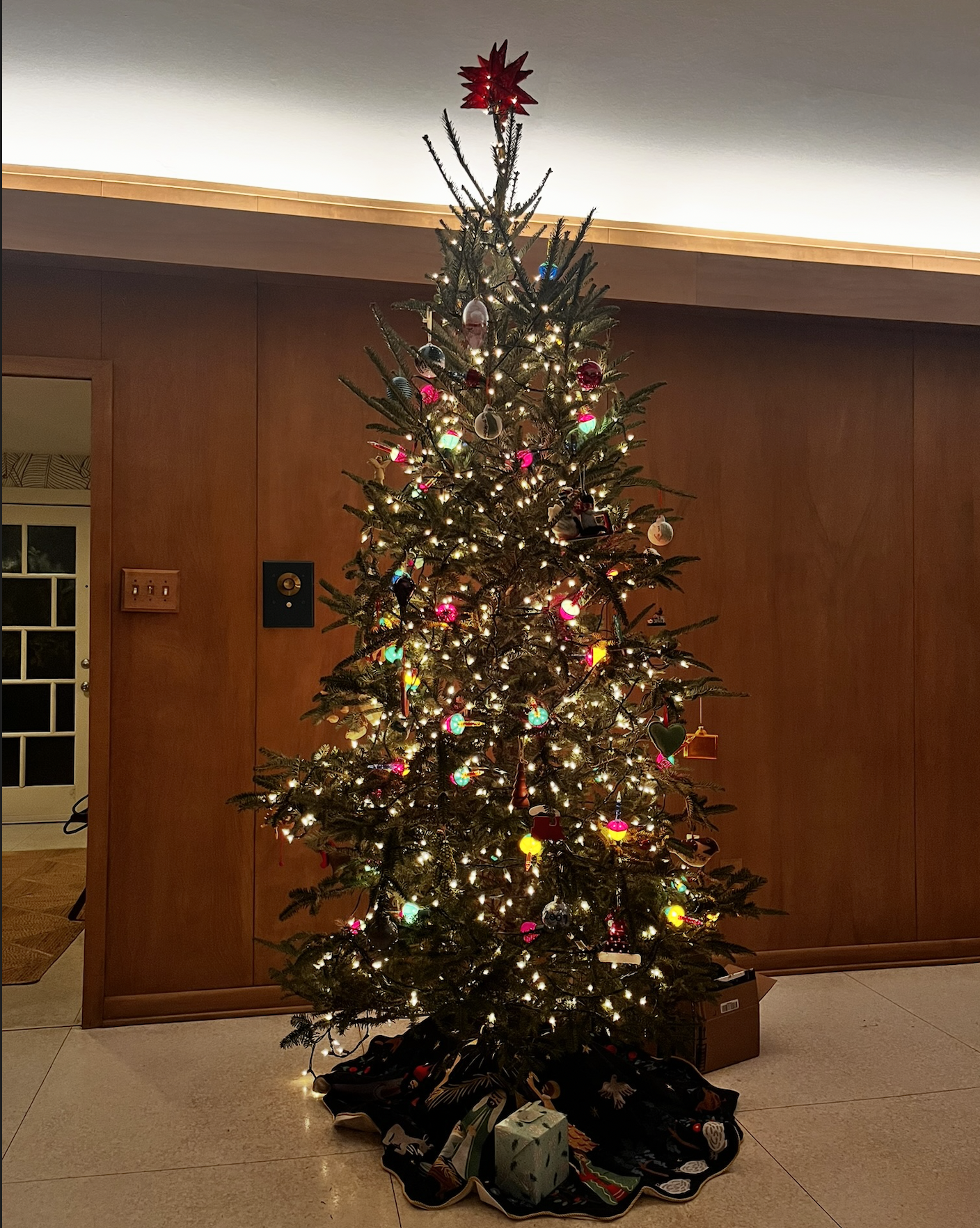 Our Christmas trees light up homes all over Longview, Texas!