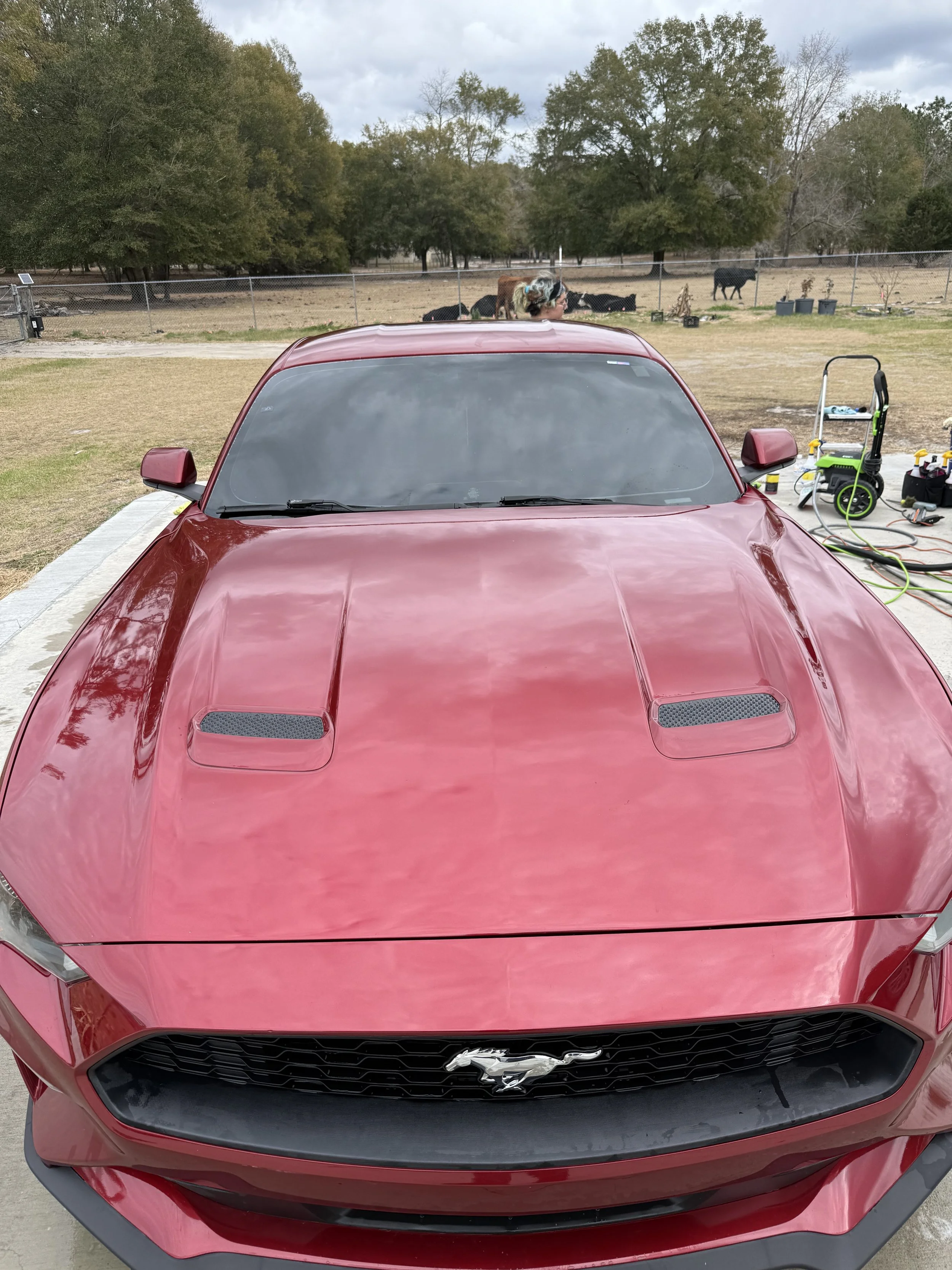 Interior detail on Ford Mustang + Scratch removal